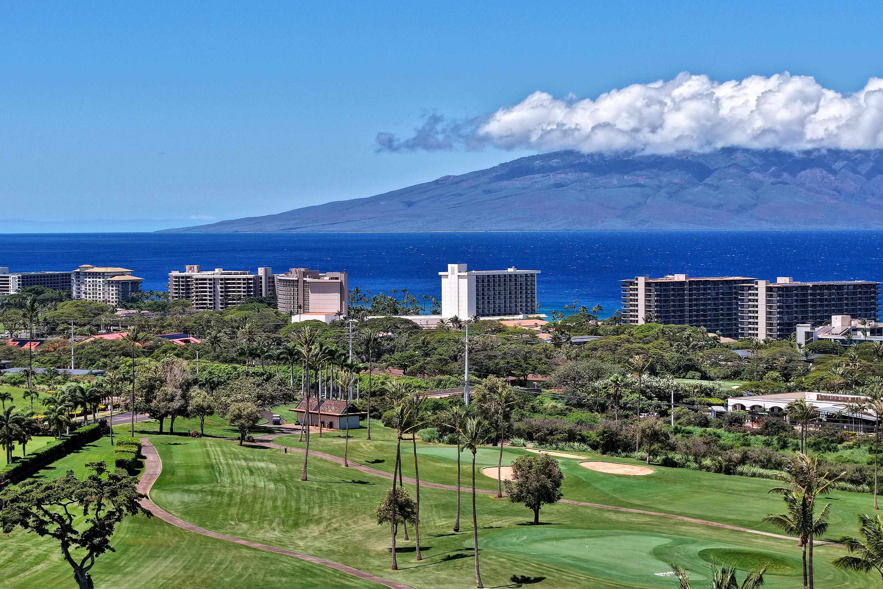 175  Ulukoa Pl Kaanapali, Kaanapali home - photo 50 of 50