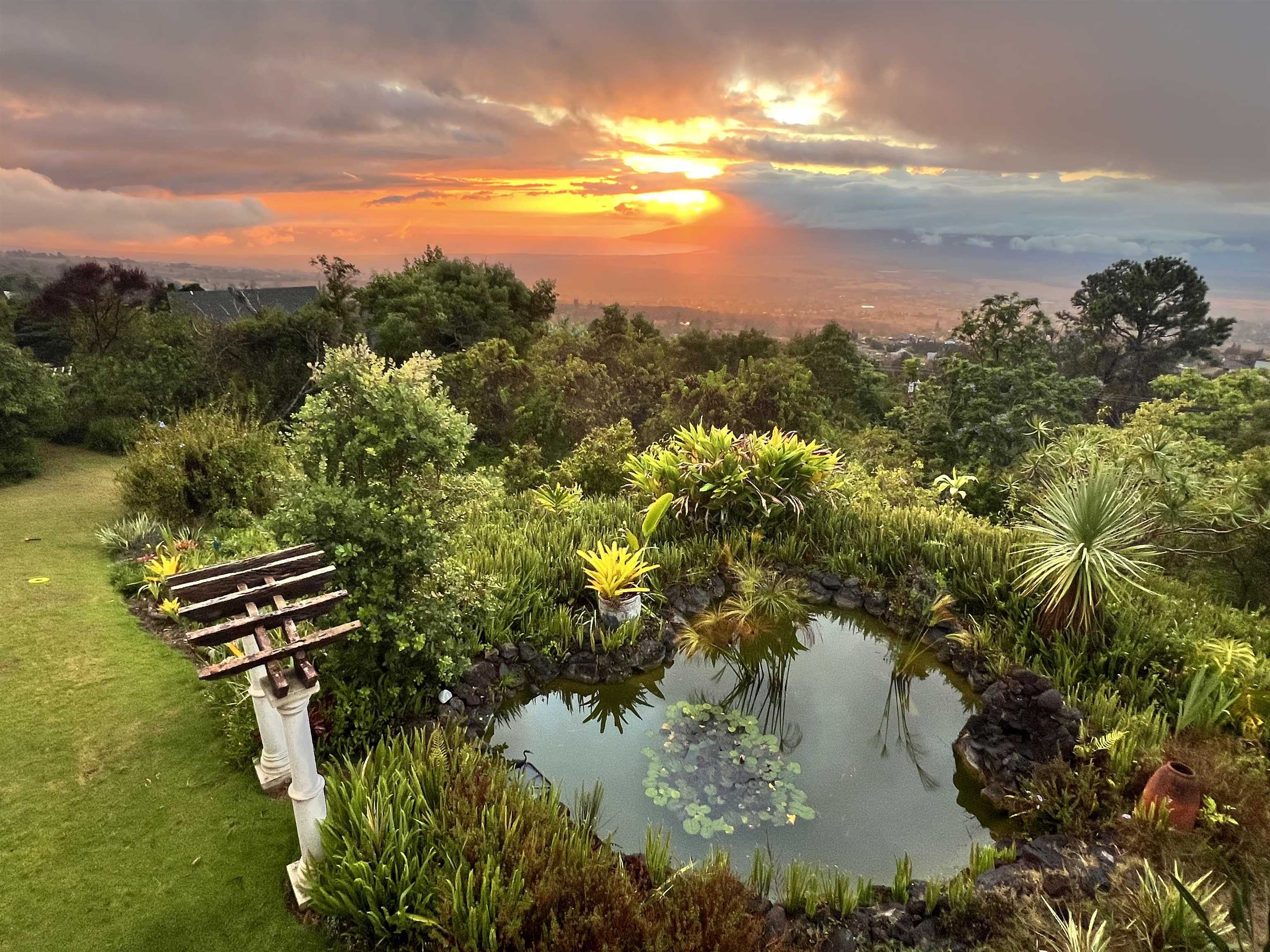17526  Haleakala Hwy , Kula/Ulupalakua/Kanaio home - photo 27 of 30