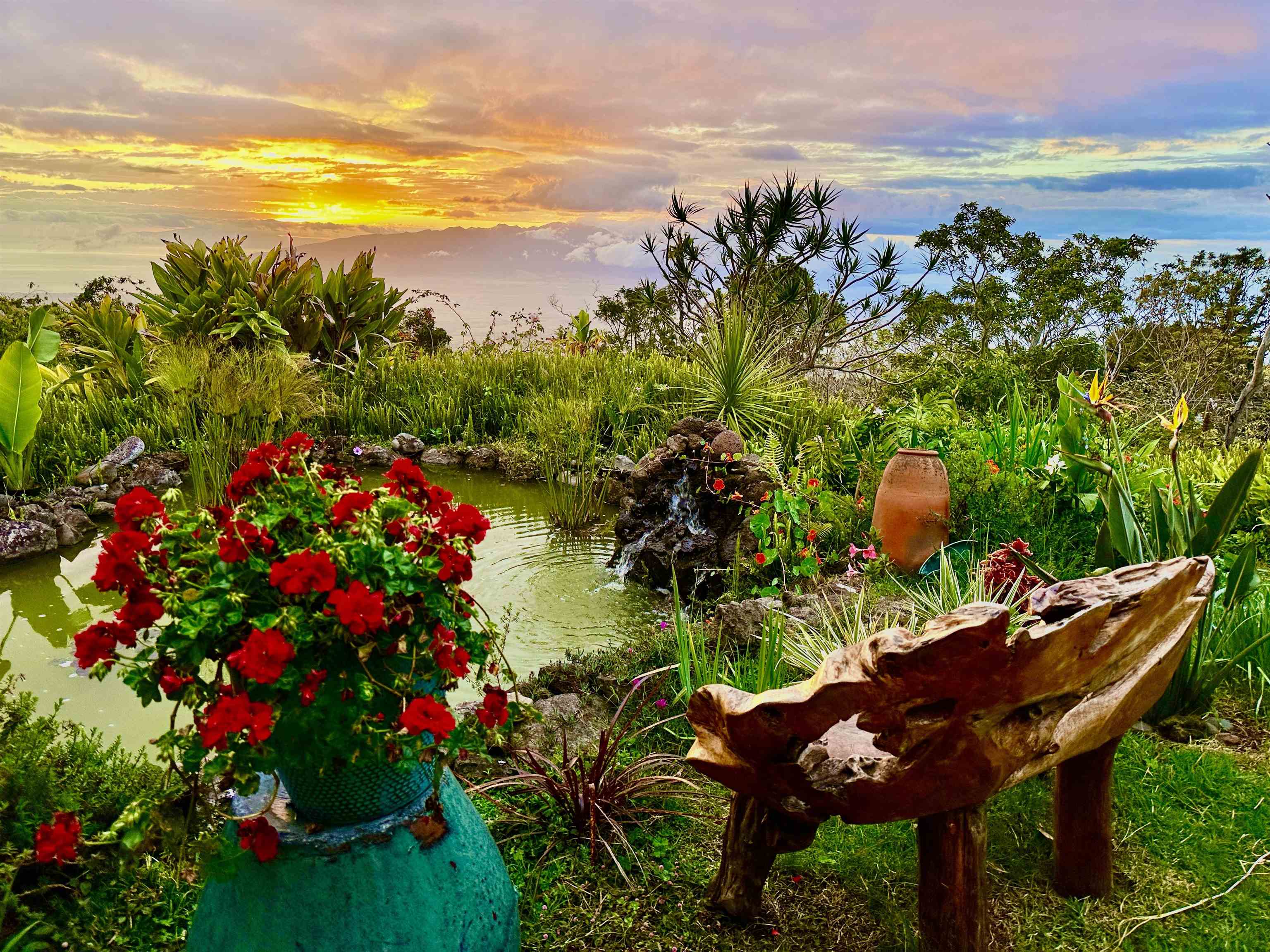 17526  Haleakala Hwy , Kula/Ulupalakua/Kanaio home - photo 28 of 30