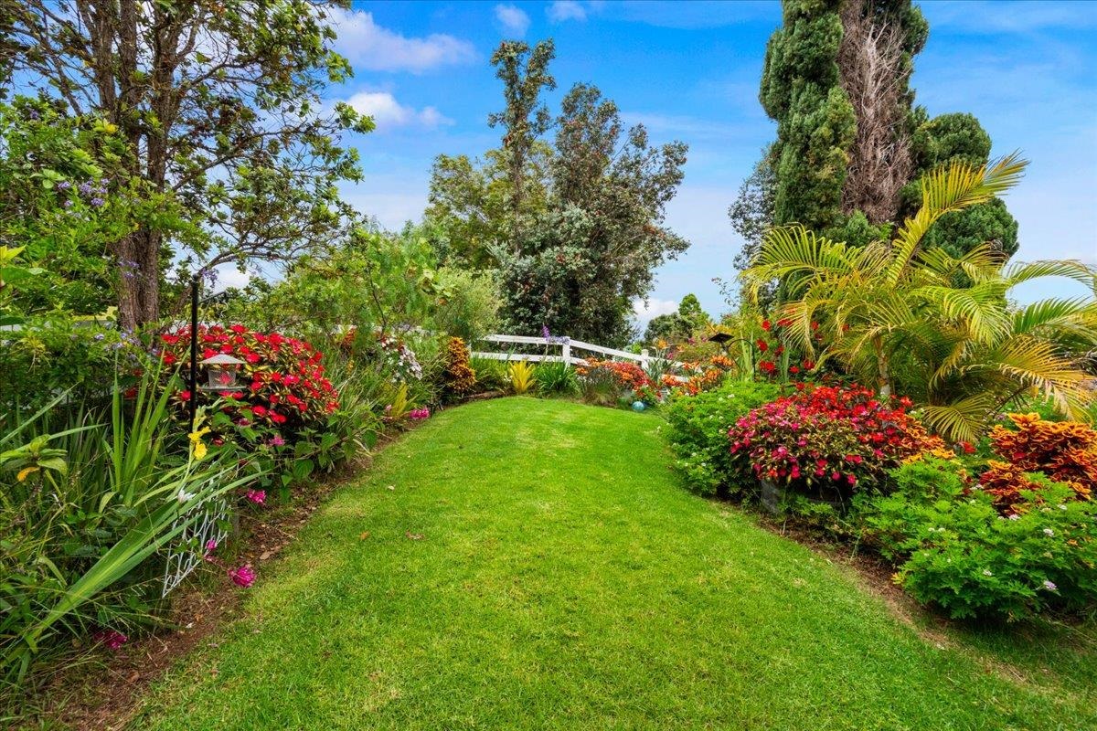 17526  Haleakala Hwy Crater Road, Kula/Ulupalakua/Kanaio home - photo 40 of 50