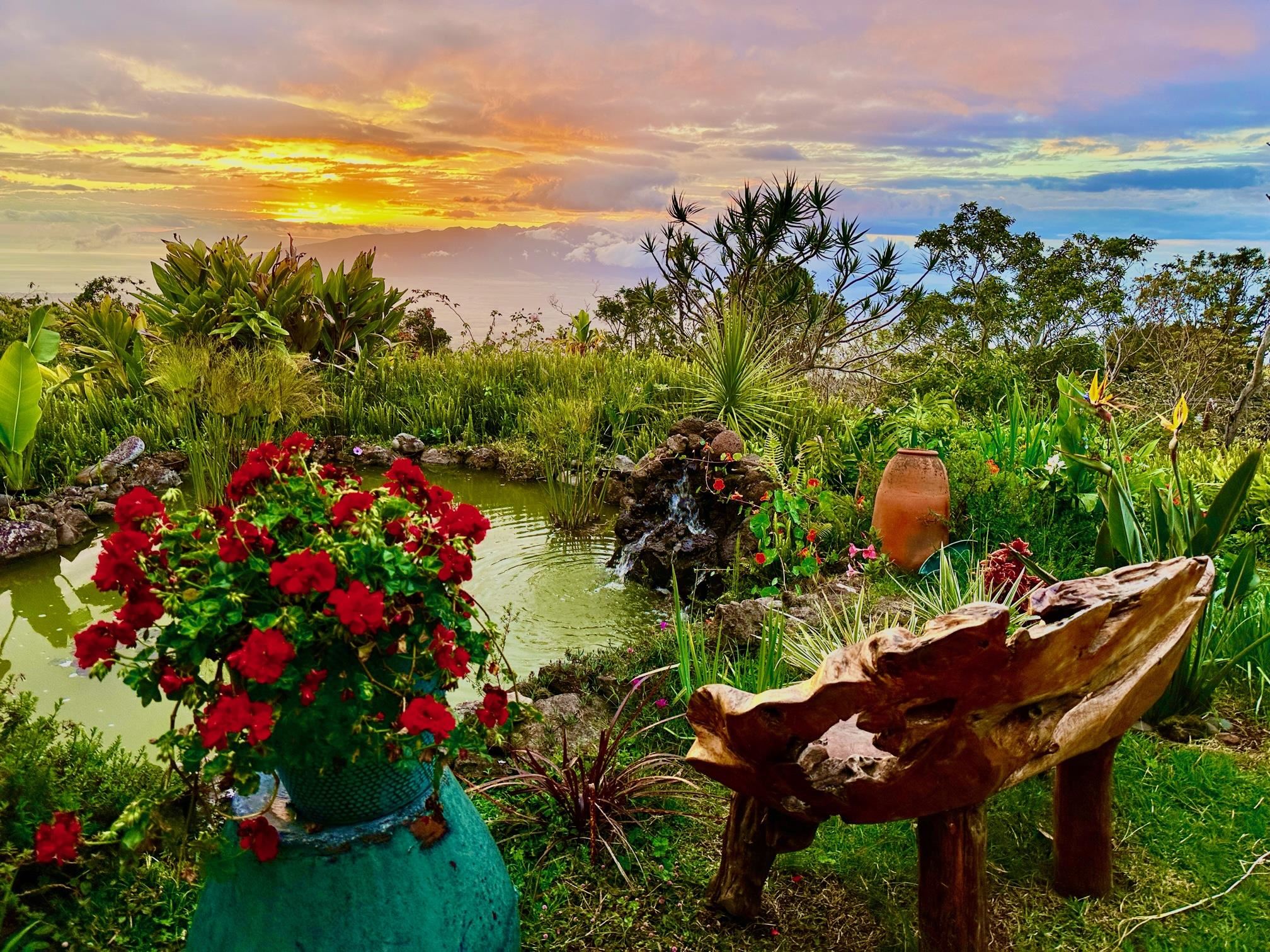 17526  Haleakala Highway Hwy Crater Road, Kula/Ulupalakua/Kanaio home - photo 27 of 30
