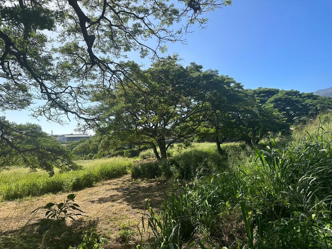 1771 Piihana Rd Wailuku, Hi 96793 Piihana Land For sale