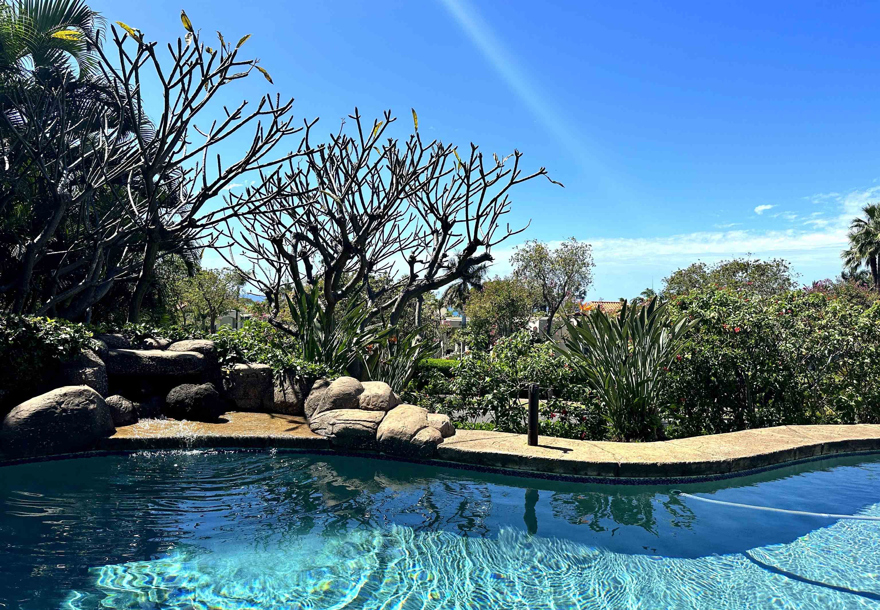 178  Alaula Pl Wailea Kialoa, Wailea/Makena home - photo 32 of 41