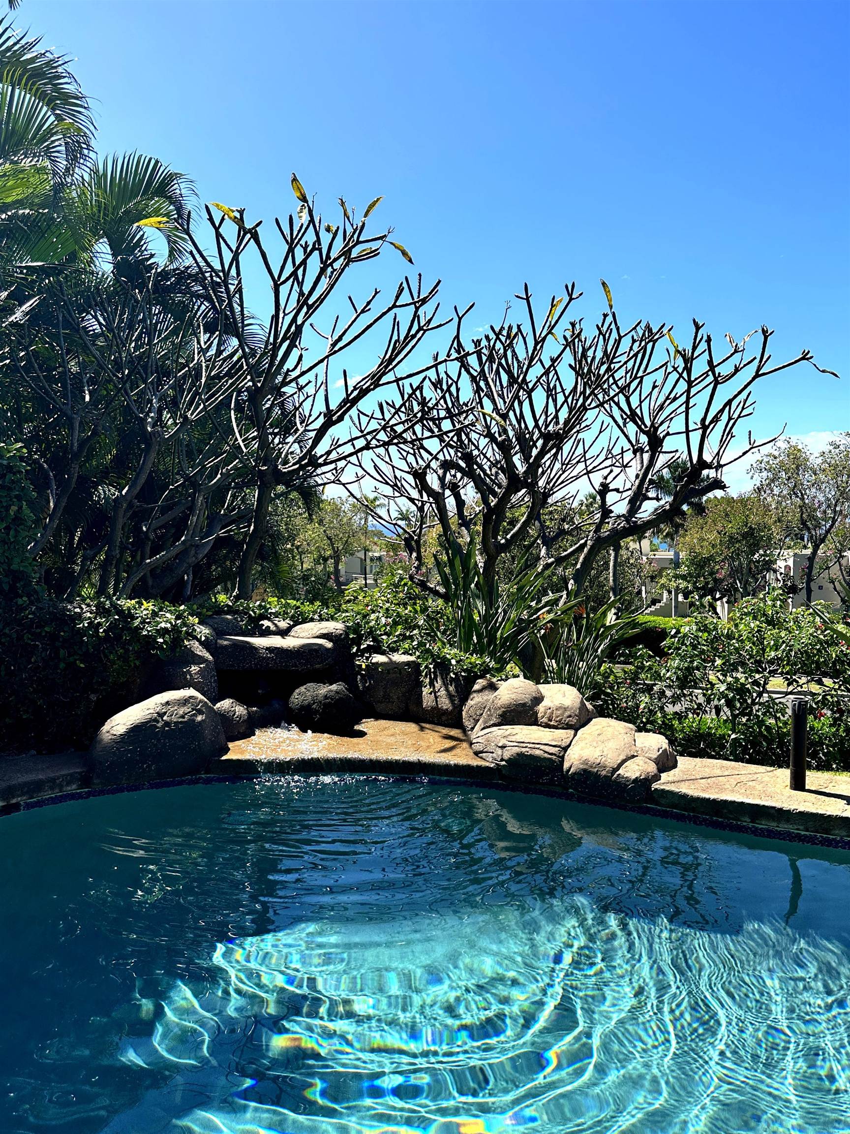 178  Alaula Pl Wailea Kialoa, Wailea/Makena home - photo 35 of 41