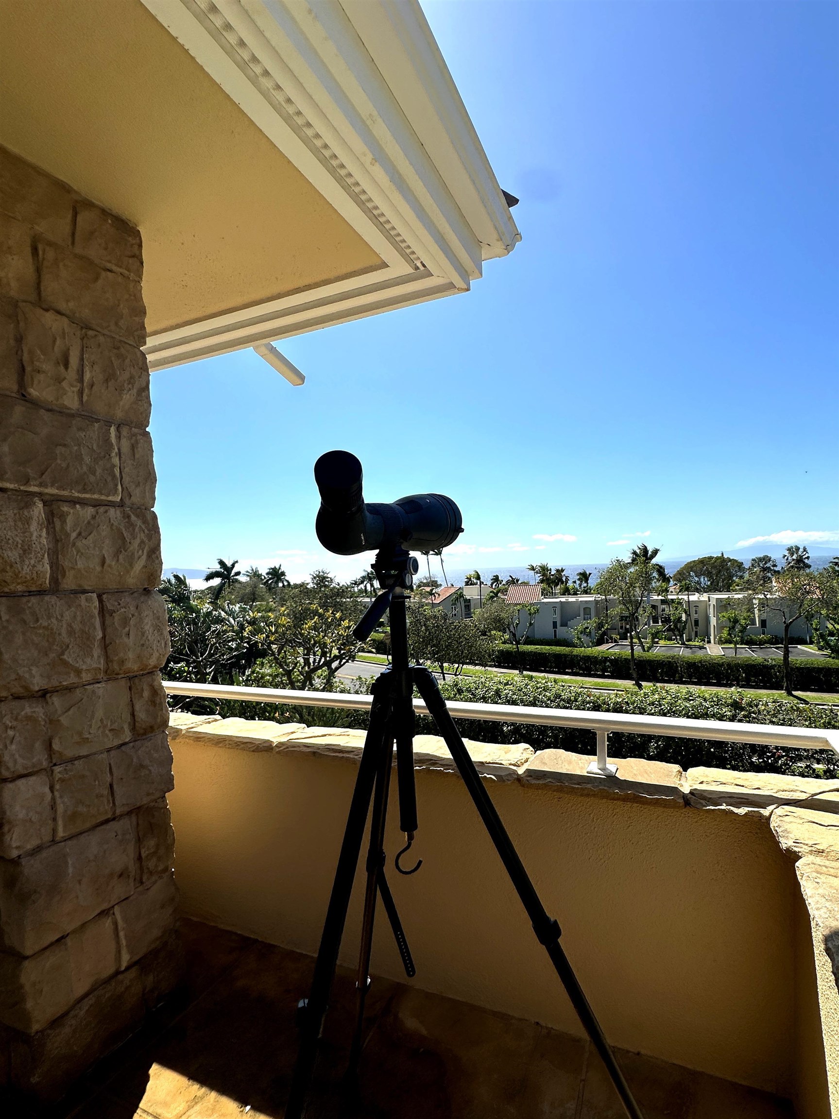 178  Alaula Pl Wailea Kialoa, Wailea/Makena home - photo 37 of 41