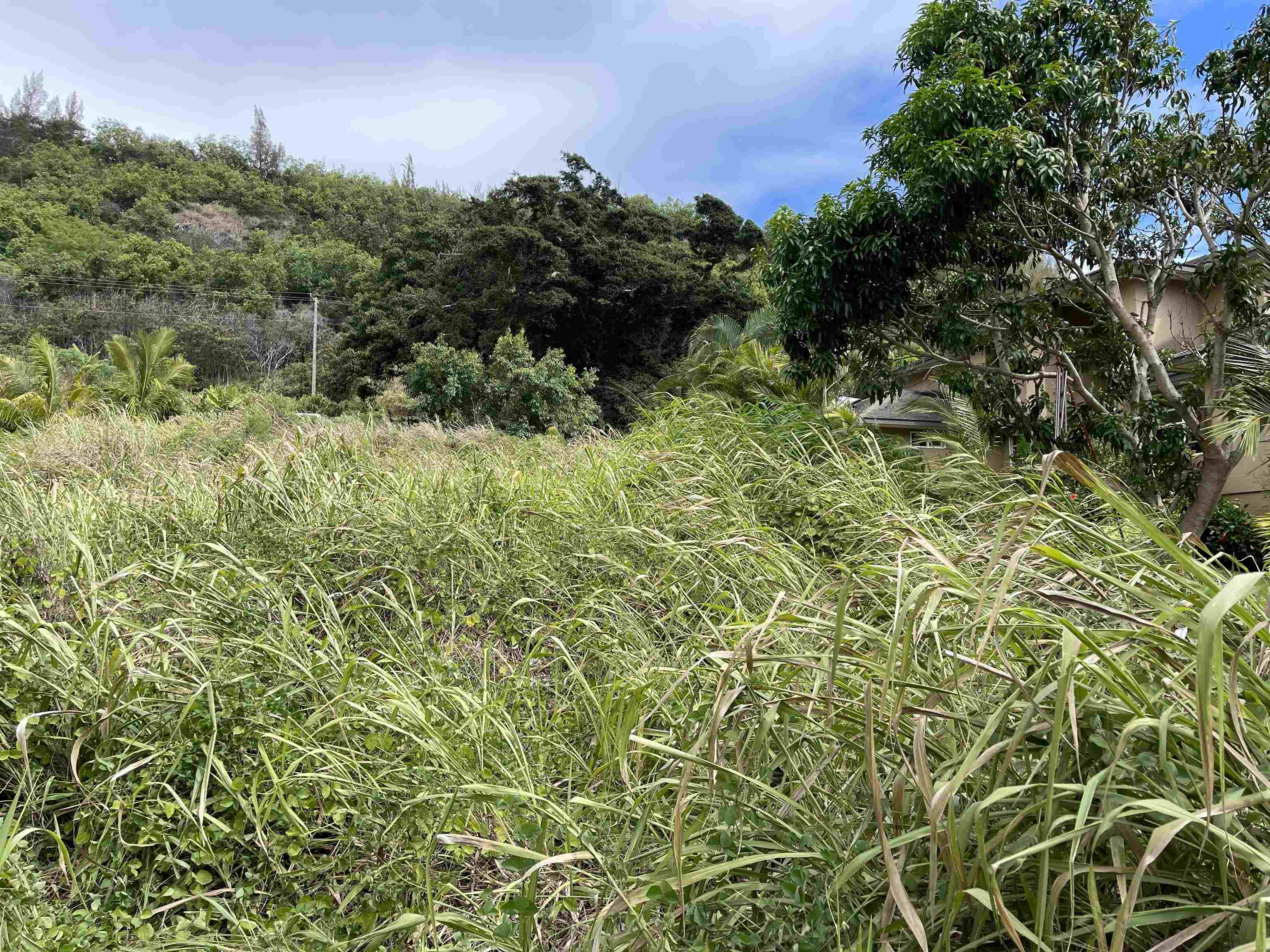 178 River Rd  Wailuku, Hi vacant land for sale - photo 11 of 12