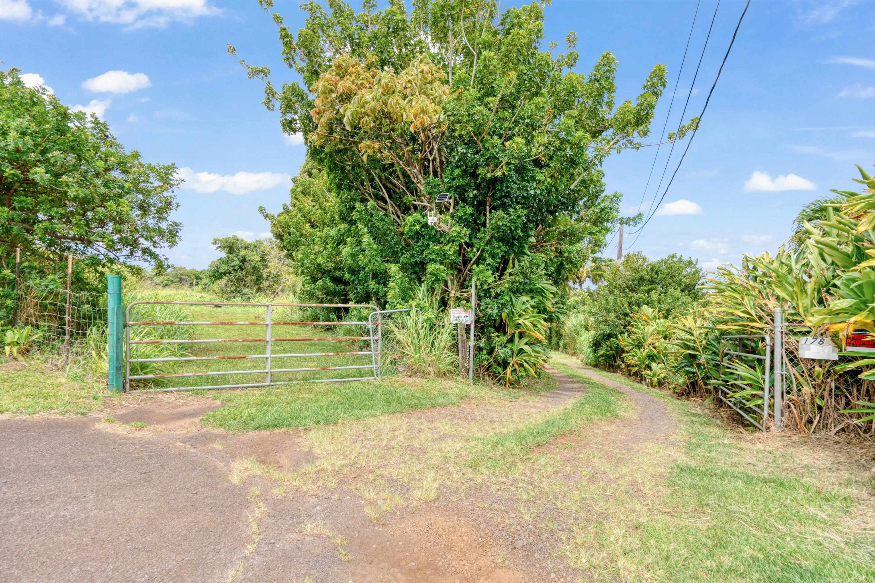 1784  Kuiaha Rd Kuiaha- Pauwela, Haiku home - photo 17 of 27