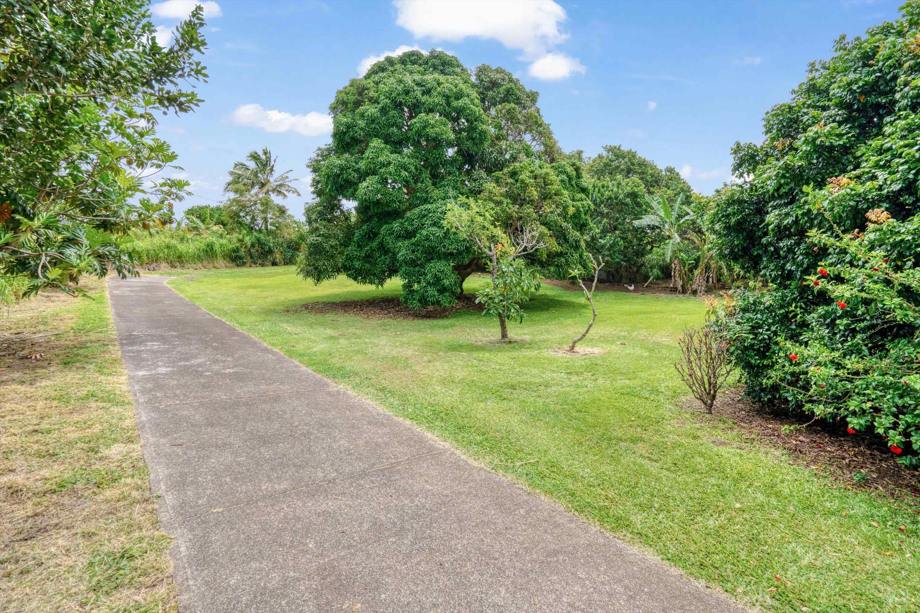 1784  Kuiaha Rd Kuiaha- Pauwela, Haiku home - photo 23 of 27