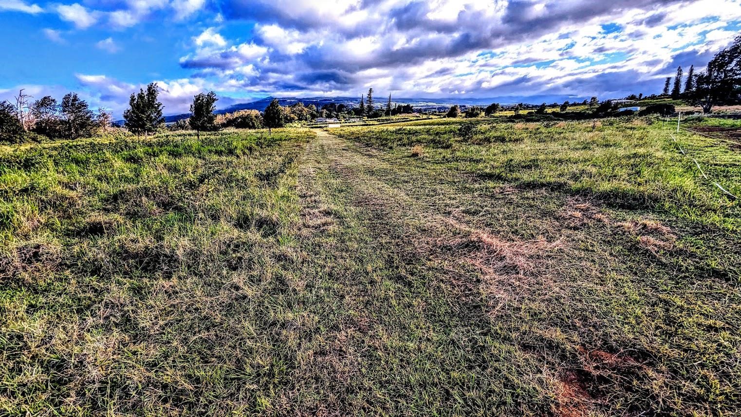 179 Kaluanui Rd Unit A Makawao, Hi vacant land for sale - photo 11 of 42