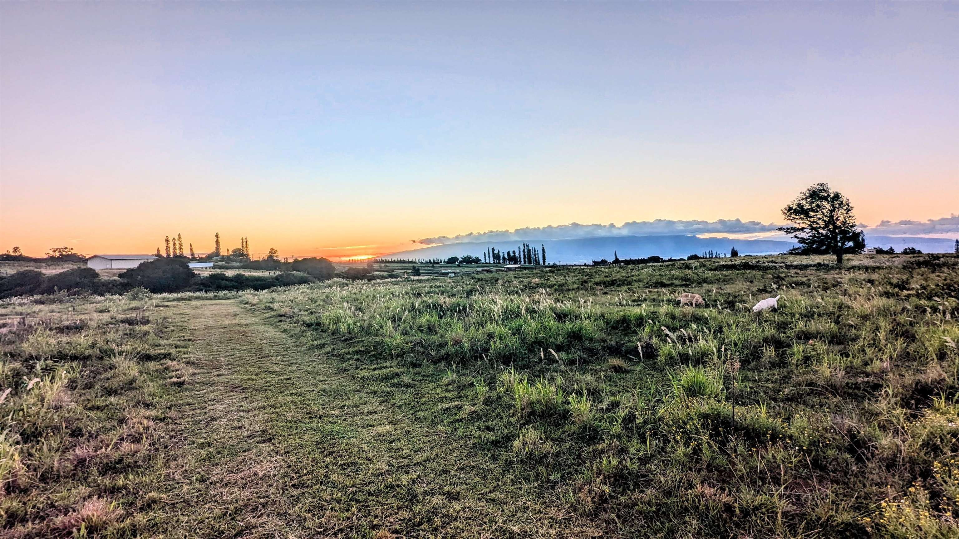 179 Kaluanui Rd Unit A Makawao, Hi vacant land for sale - photo 15 of 42