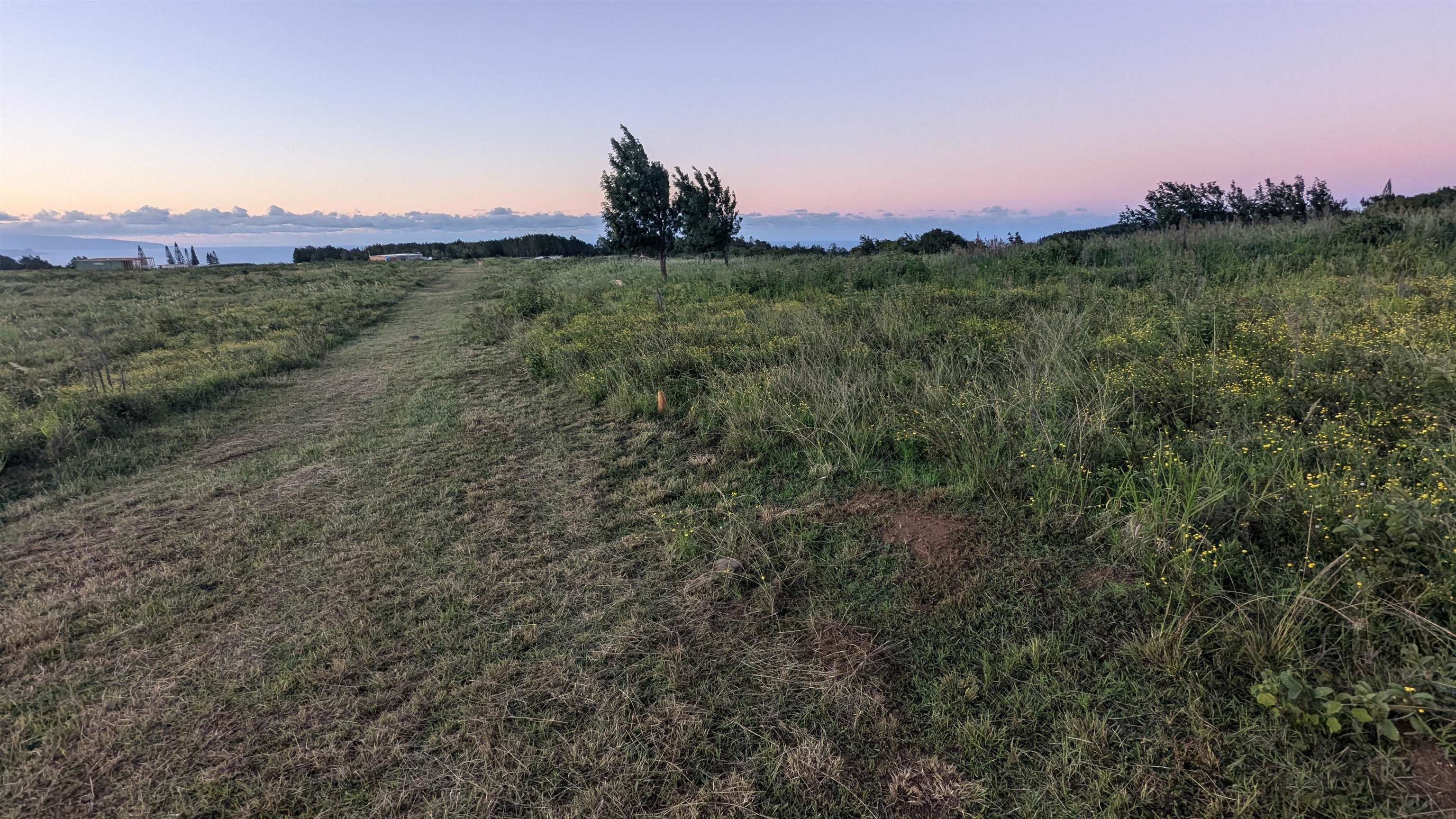 179 Kaluanui Rd Unit A Makawao, Hi vacant land for sale - photo 20 of 42