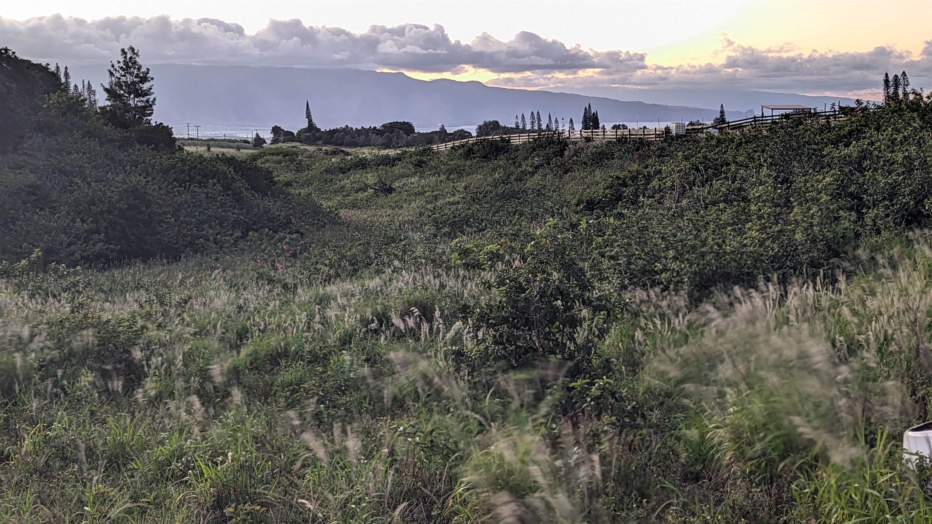 179 Kaluanui Rd Unit A Makawao, Hi vacant land for sale - photo 38 of 42