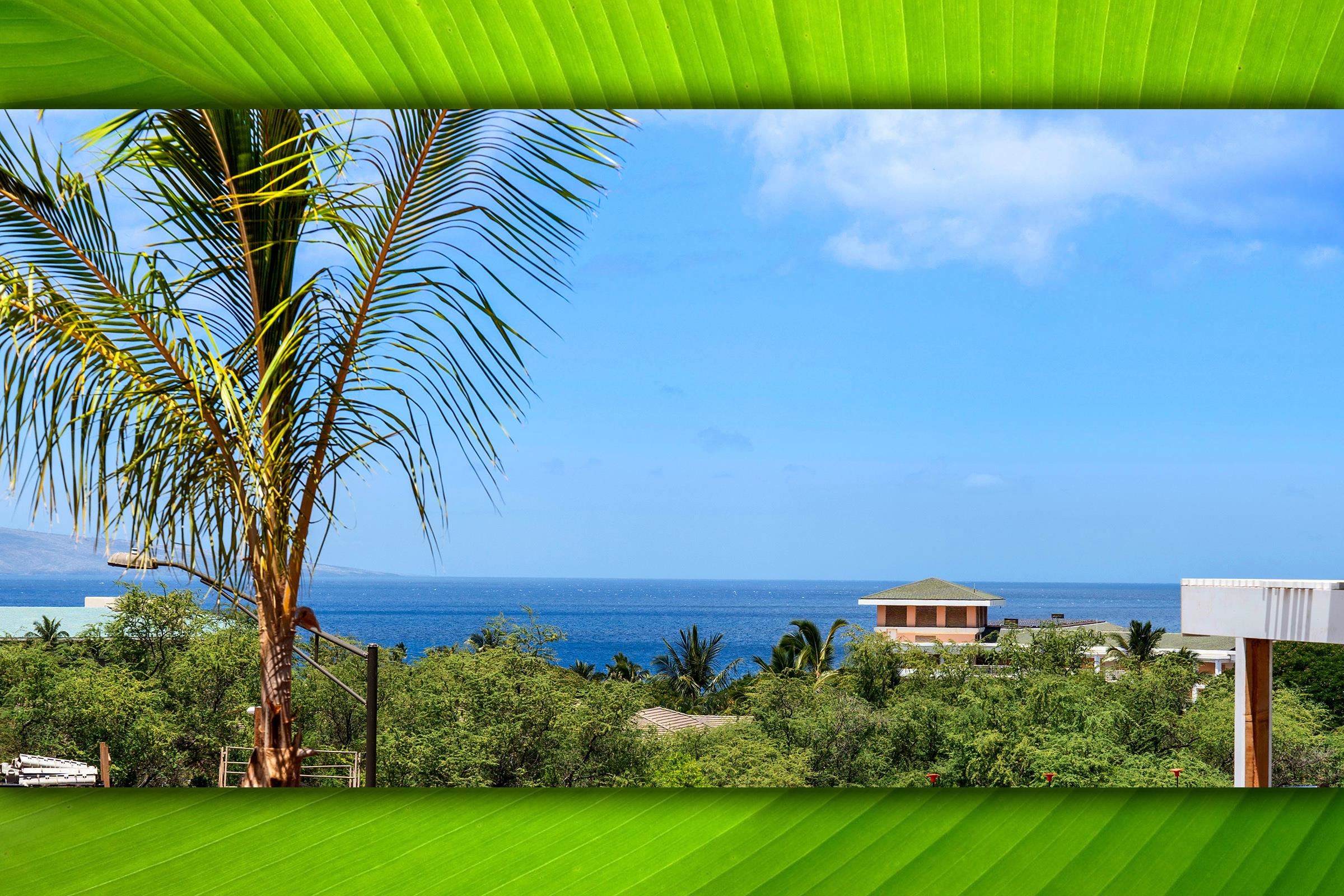 179  Lolowaa Pl Wailea, Wailea/Makena home - photo 6 of 50