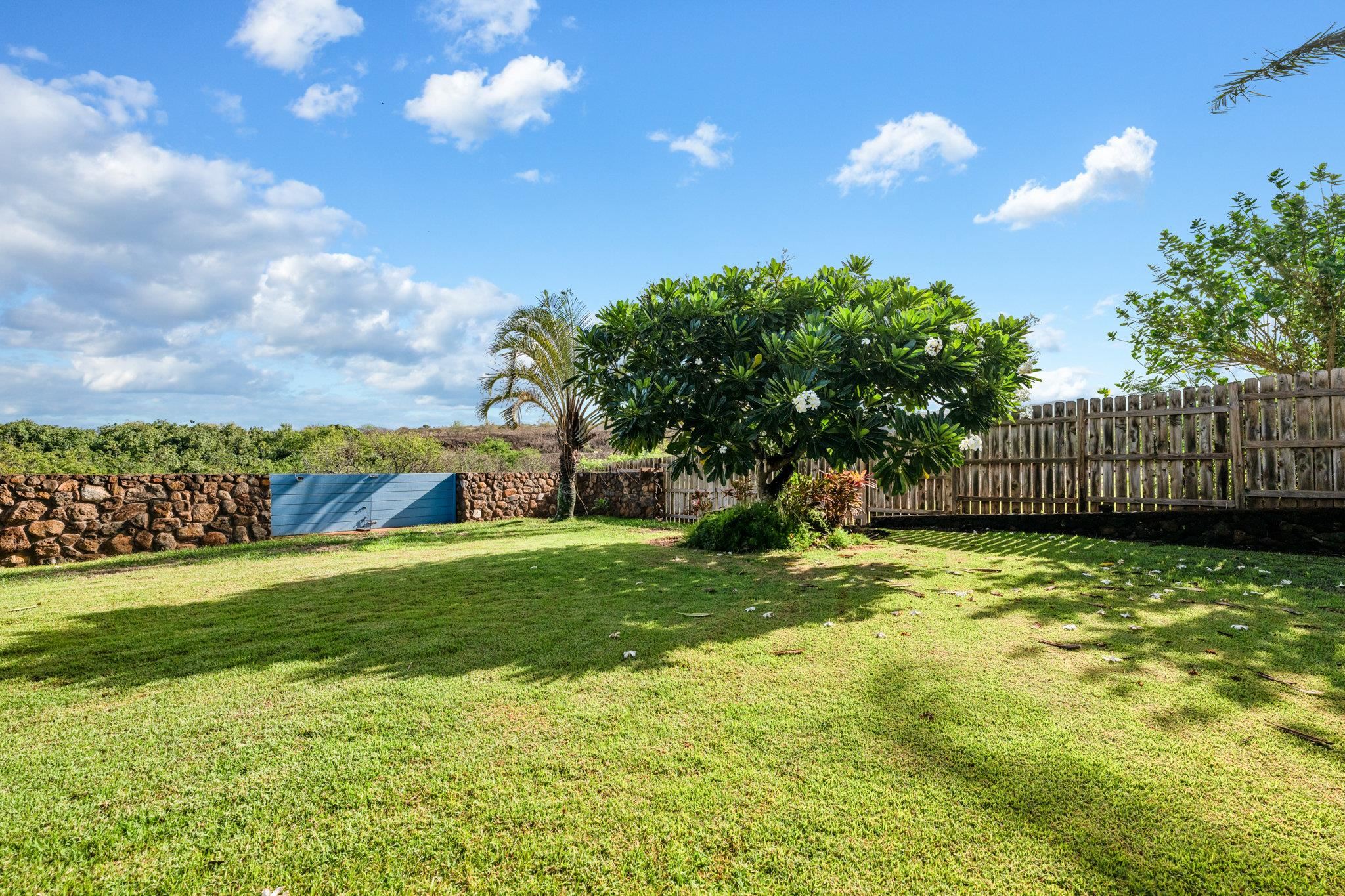 18  Areca Pl , Napili/Kahana/Honokowai home - photo 38 of 47