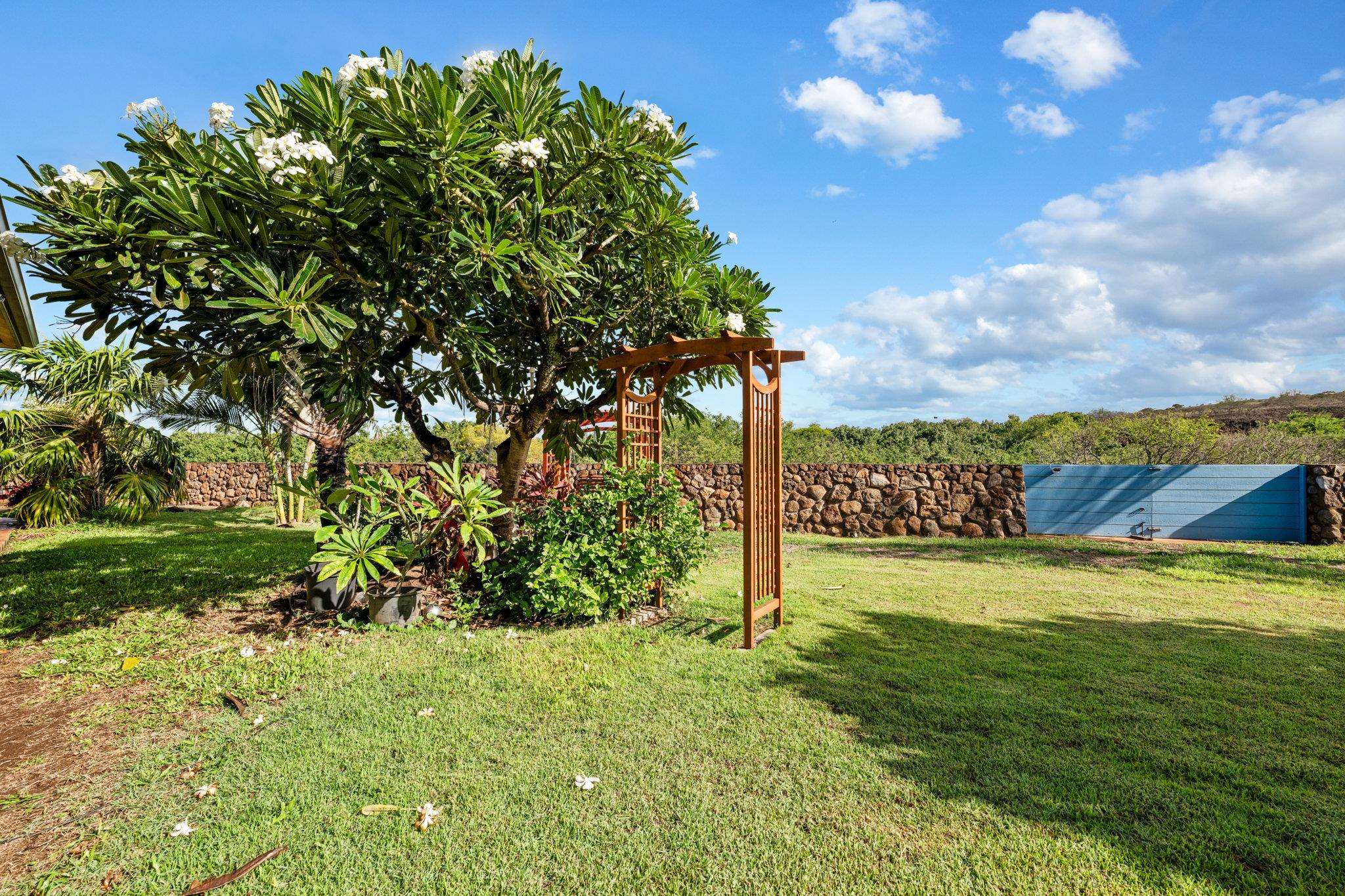 18  Areca Pl , Napili/Kahana/Honokowai home - photo 40 of 48