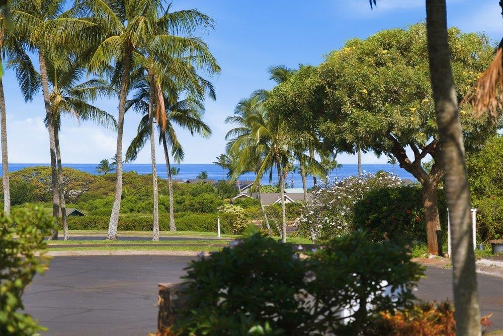 18  Areca Pl , Napili/Kahana/Honokowai home - photo 43 of 48