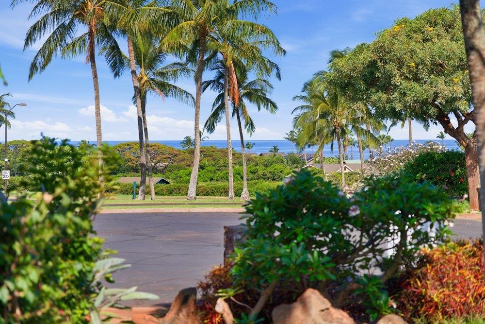 18  Areca Pl , Napili/Kahana/Honokowai home - photo 46 of 48
