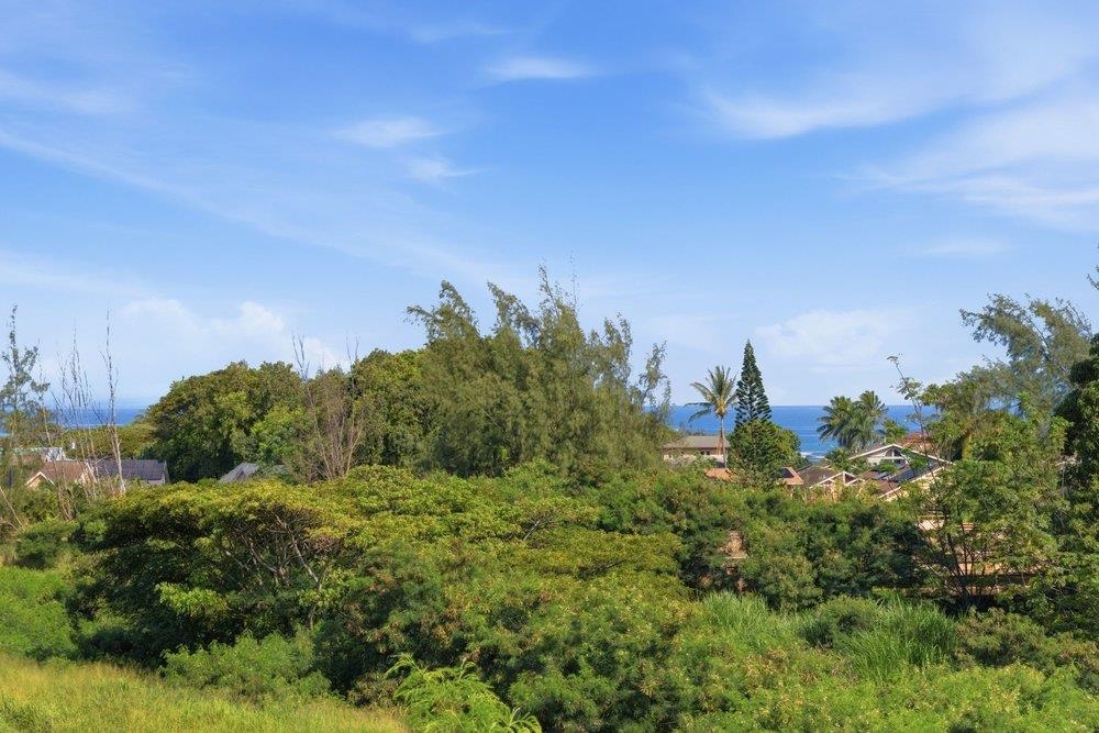 18  Areca Pl , Napili/Kahana/Honokowai home - photo 48 of 48