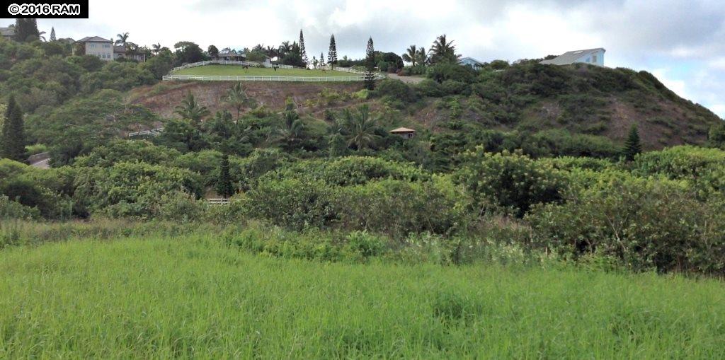 18 Lahaole Pl MCR 46 Wailuku, Hi vacant land for sale - photo 14 of 14