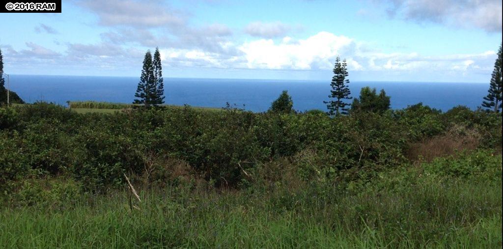 18 Lahaole Pl MCR 46 Wailuku, Hi vacant land for sale - photo 3 of 14