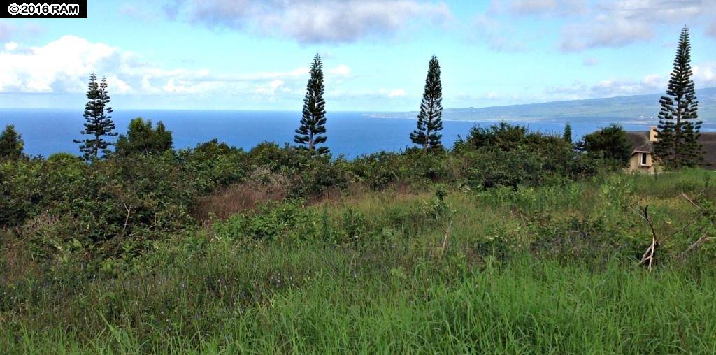 18 Lahaole Pl MCR 46 Wailuku, Hi vacant land for sale - photo 4 of 14