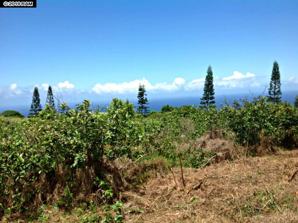 18 Lahaole Pl MCR 46 Wailuku, Hi vacant land for sale - photo 8 of 14