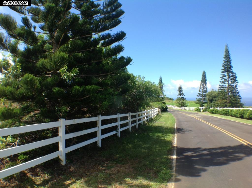 18 Lahaole Pl MCR 46 Wailuku, Hi vacant land for sale - photo 10 of 14