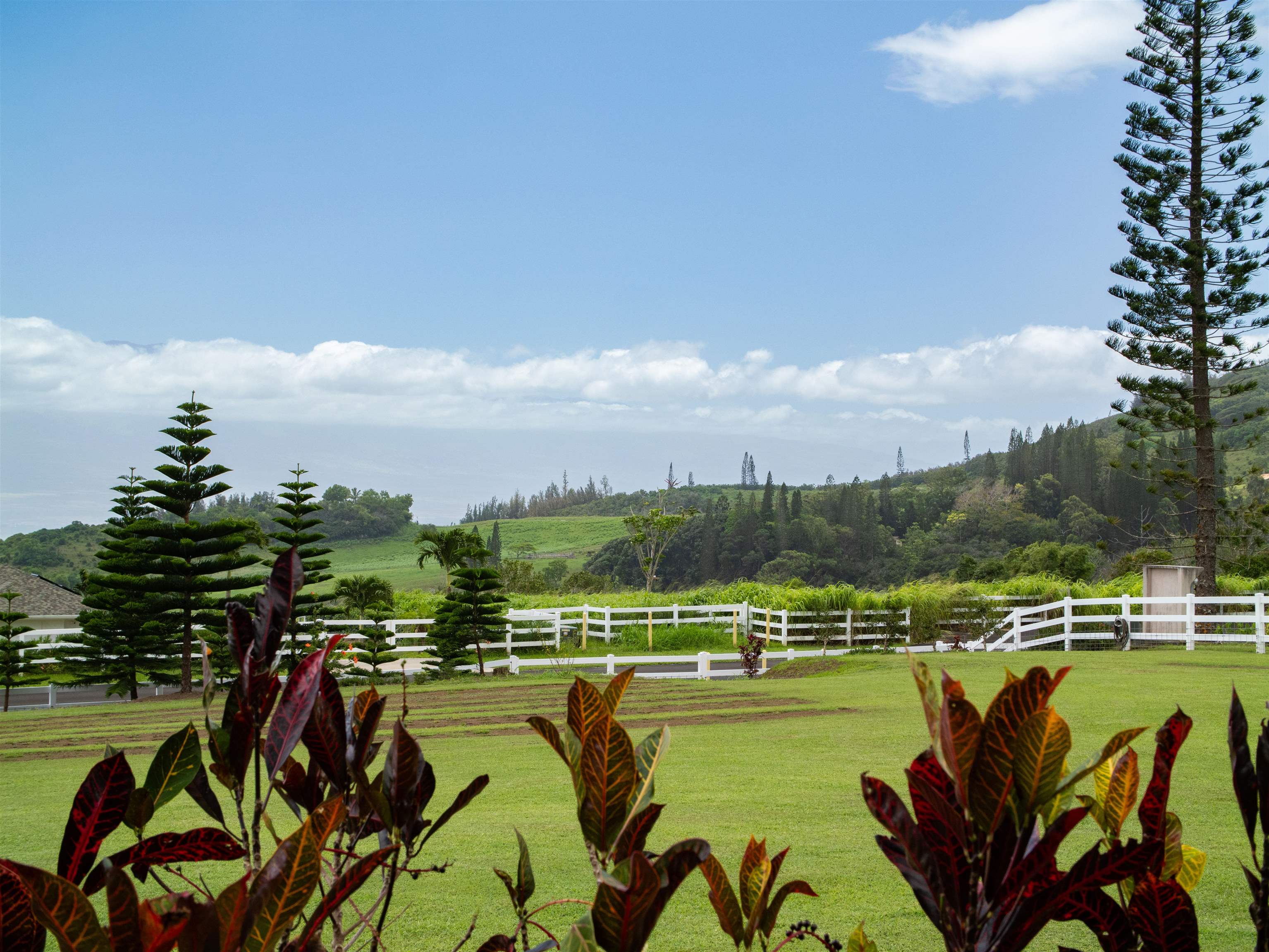 18  Lahaole Pl Maluhia Country Ranches, Wailuku home - photo 20 of 50