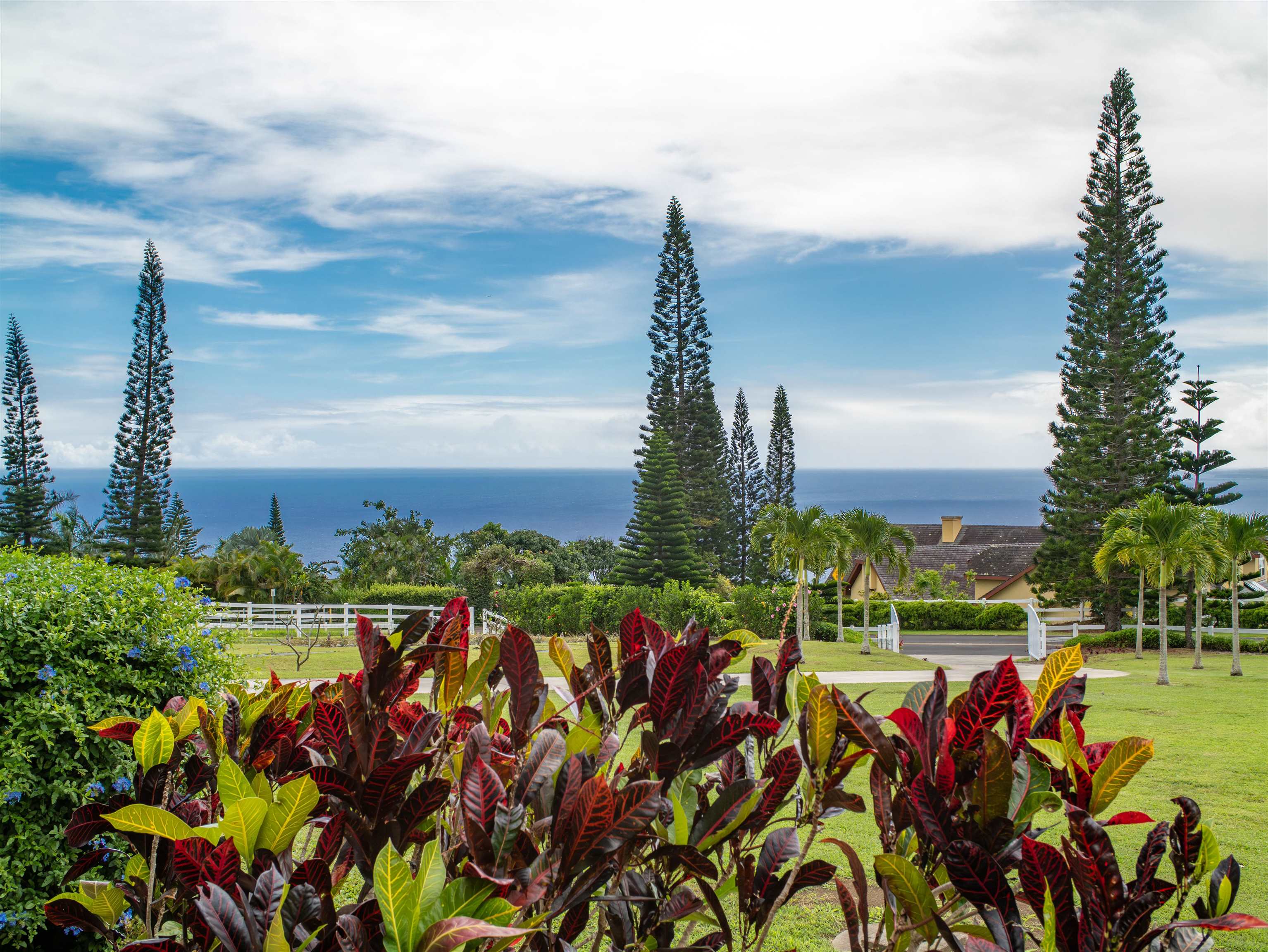 18  Lahaole Pl Maluhia Country Ranches, Wailuku home - photo 21 of 50