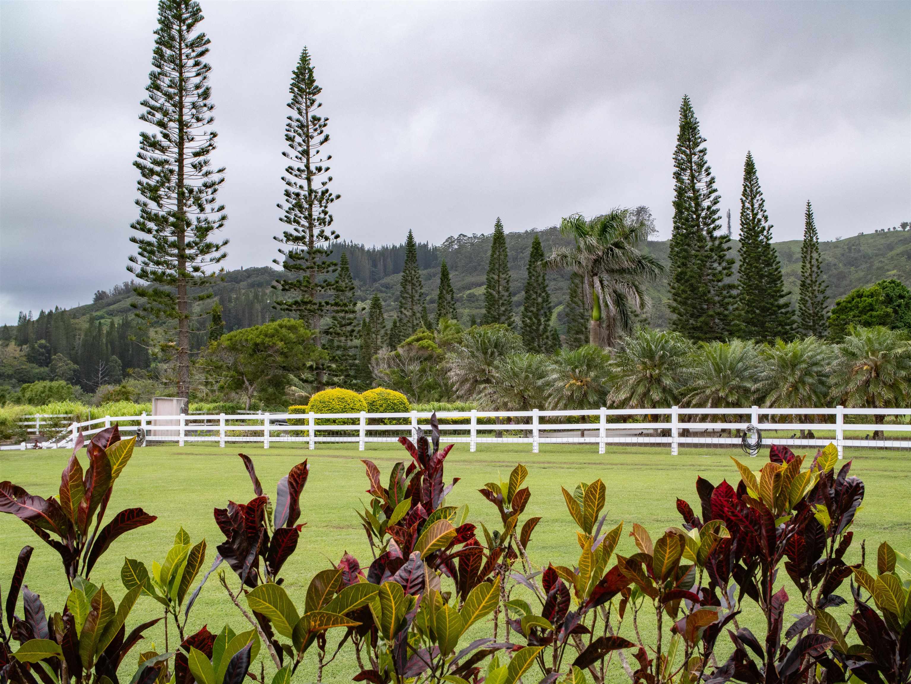 18  Lahaole Pl Maluhia Country Ranches, Wailuku home - photo 48 of 50