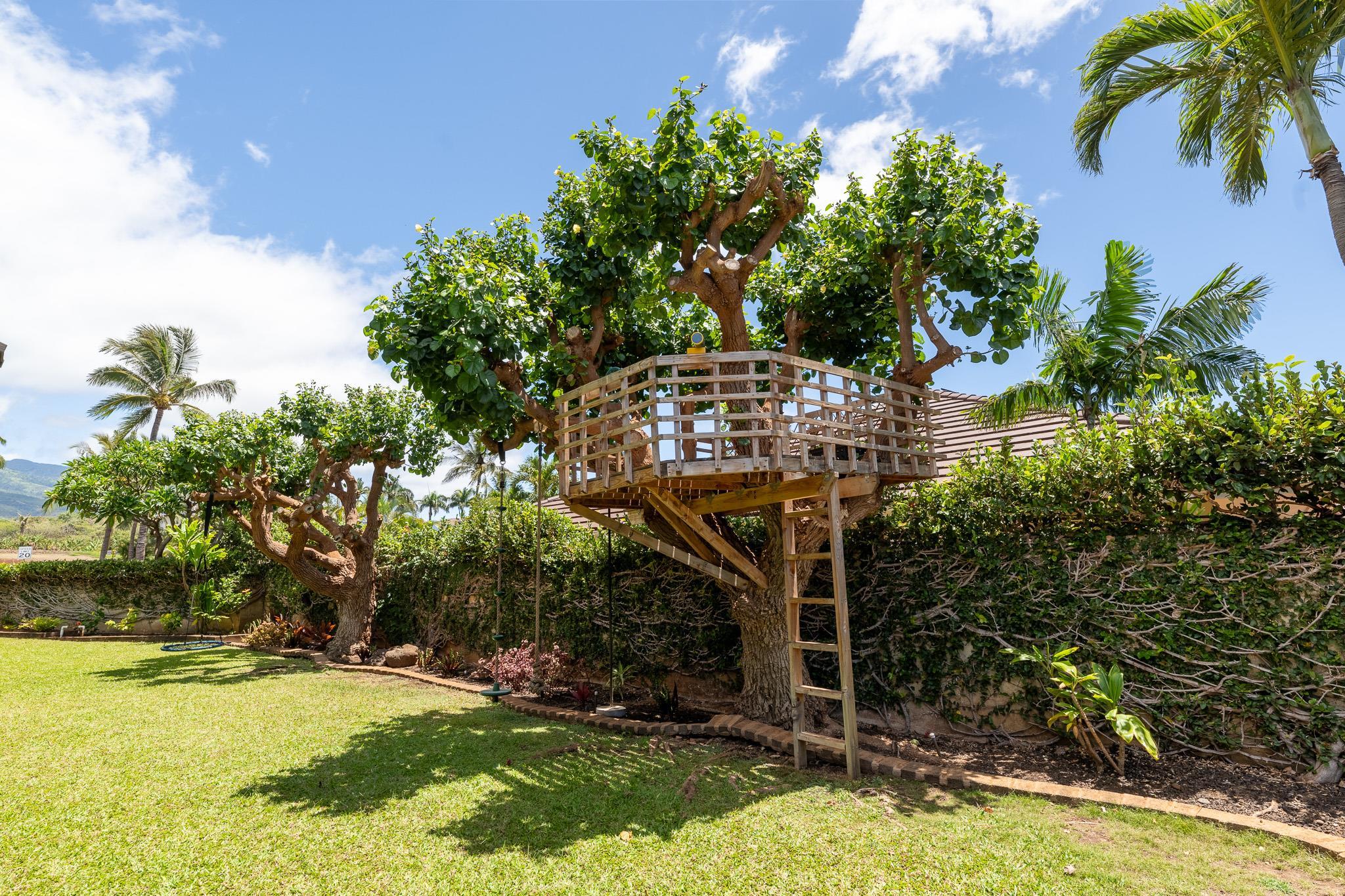 18  Pihaa St Kaanapali, Kaanapali home - photo 40 of 45