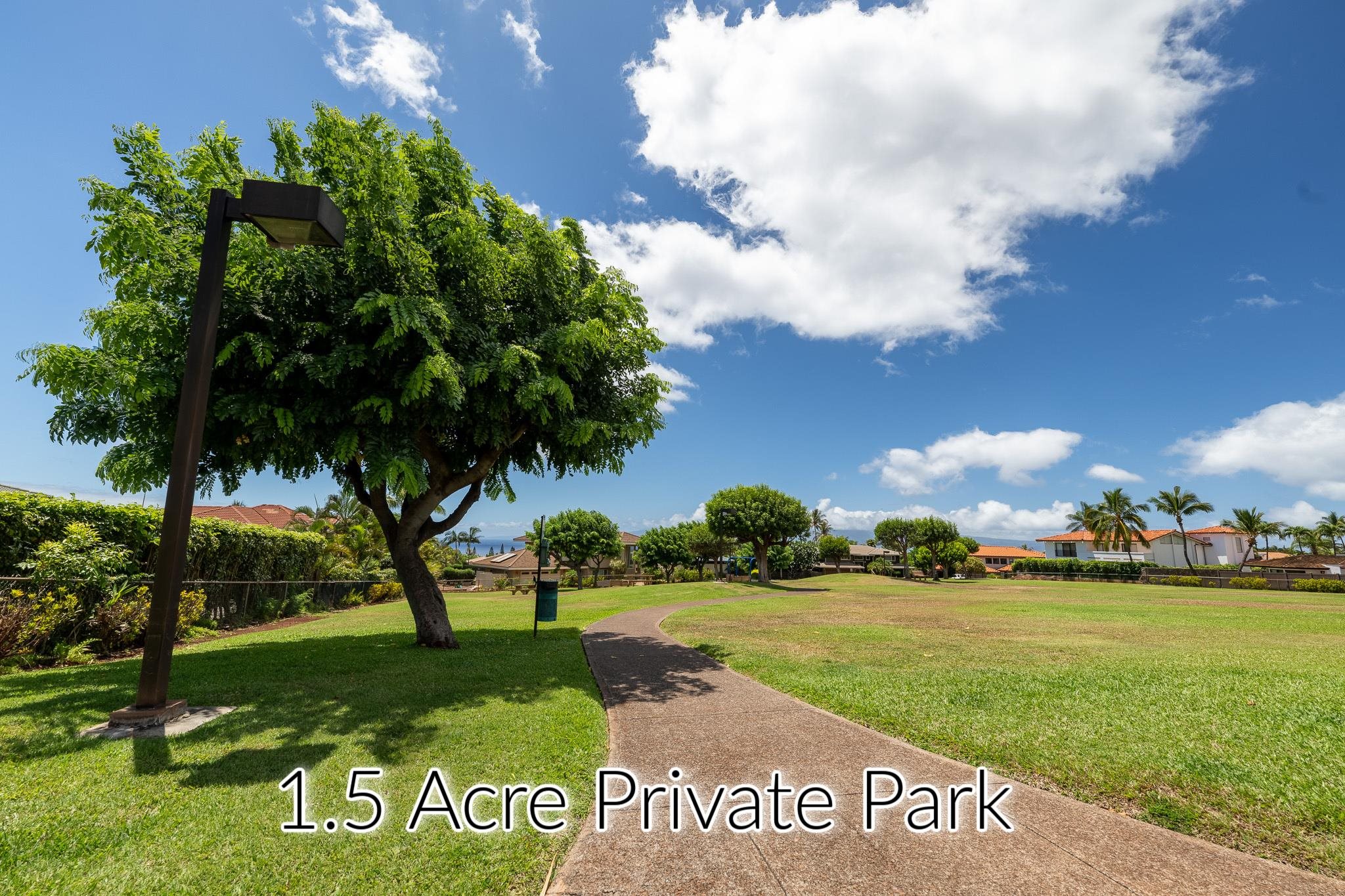 18  Pihaa St Kaanapali, Kaanapali home - photo 42 of 45