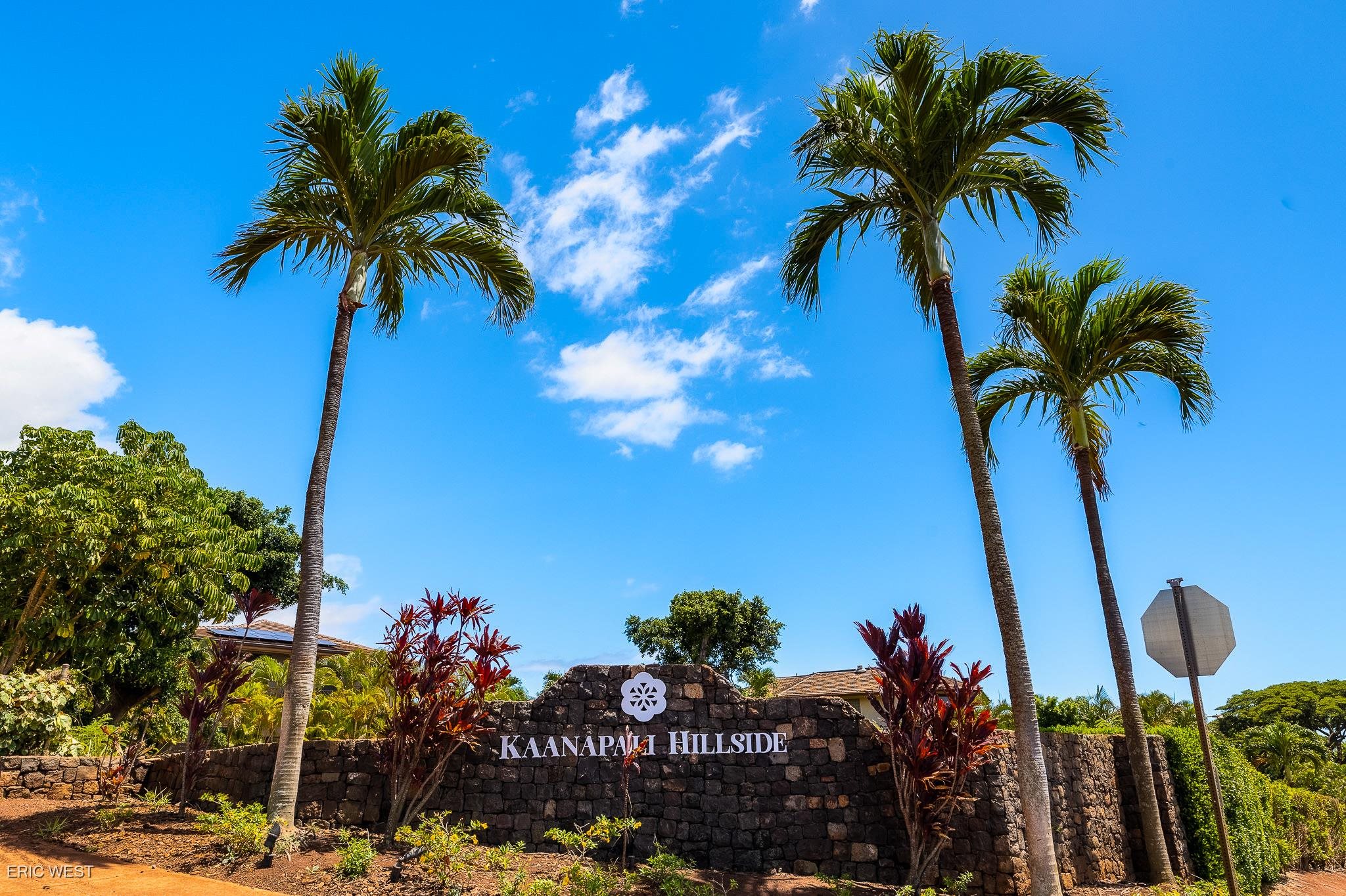 18  Pihaa St Kaanapali, Kaanapali home - photo 43 of 45