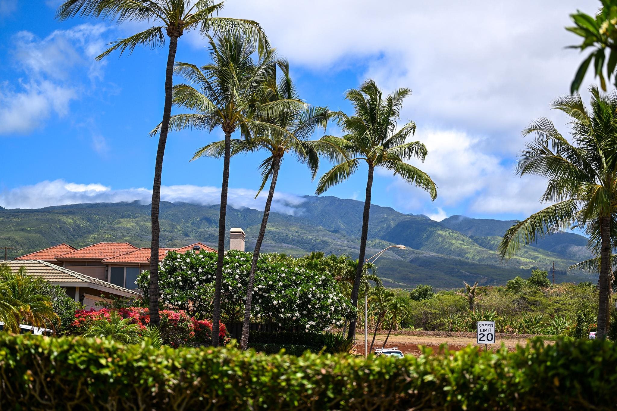 18  Pihaa St Kaanapali, Kaanapali home - photo 44 of 45