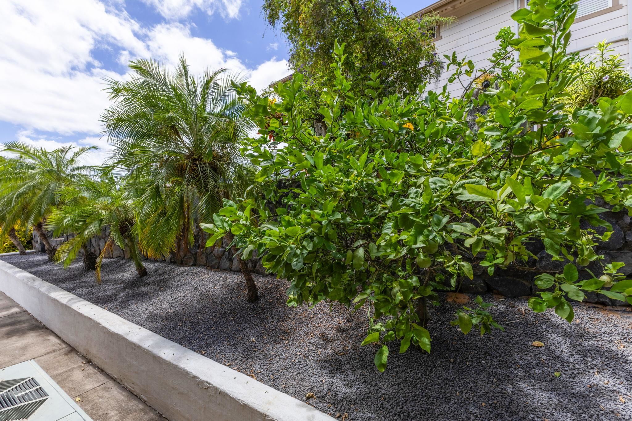 18  Puuaina Pl Maui Lani, Kahului home - photo 39 of 49