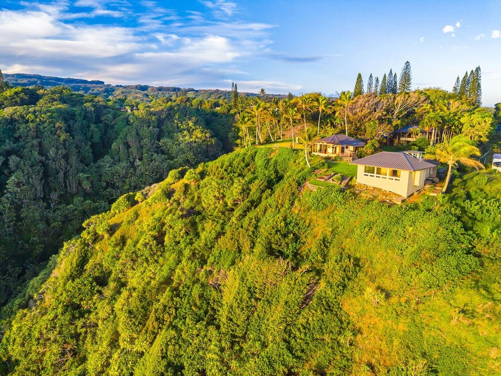 180  Door Of Faith Rd , Haiku home - photo 41 of 50