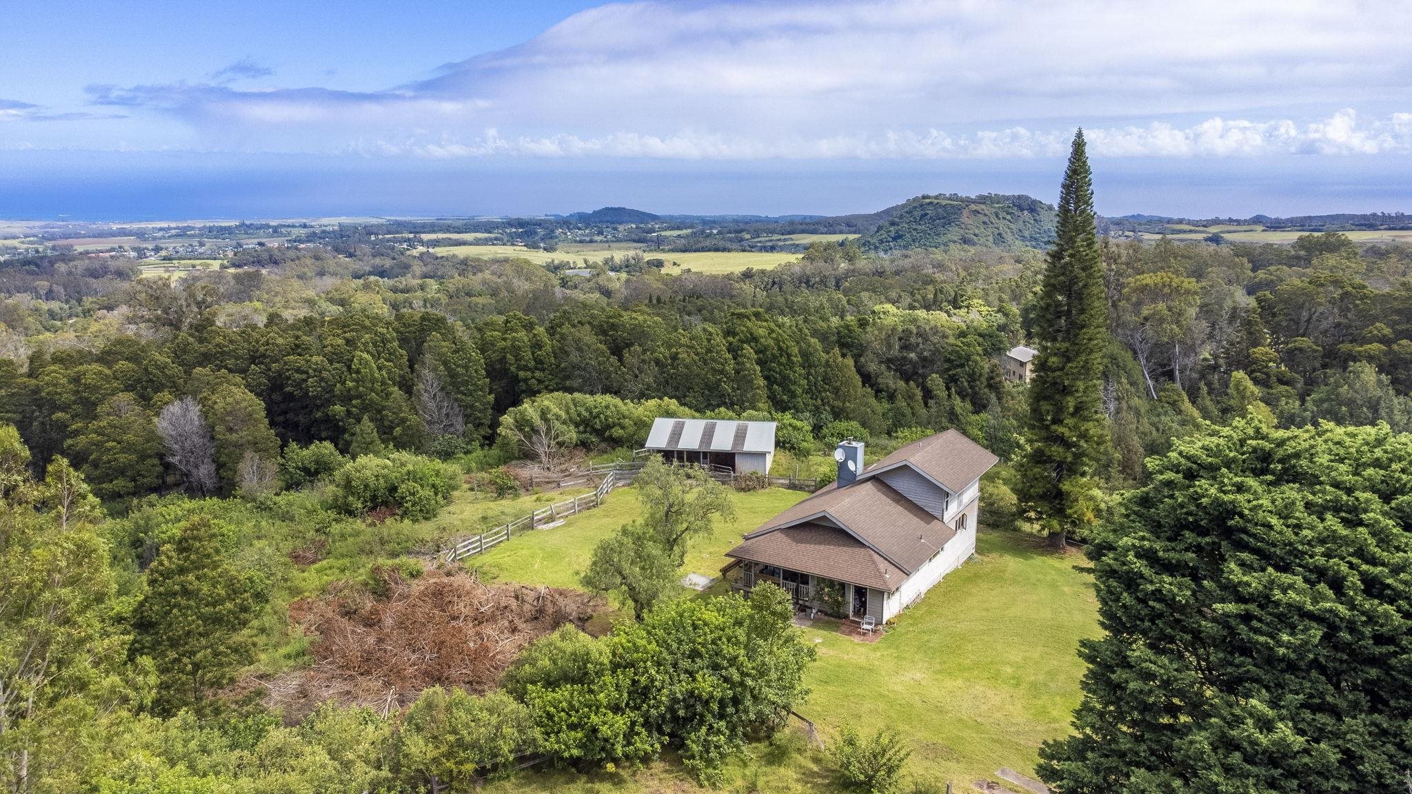 180  Makana Rd Piiholo, Makawao/Olinda/Haliimaile home - photo 4 of 43