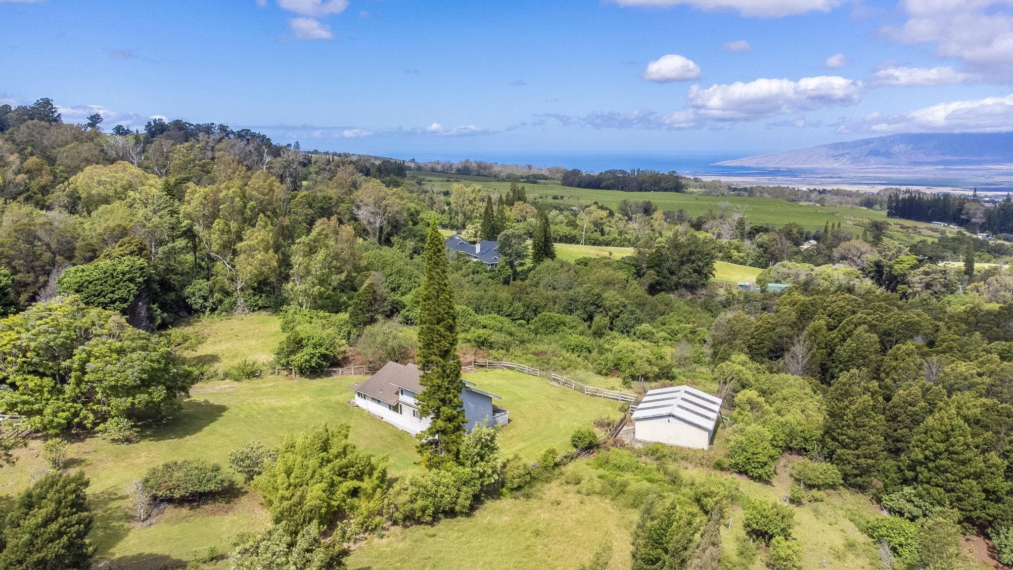 180  Makana Rd Piiholo, Makawao/Olinda/Haliimaile home - photo 36 of 43