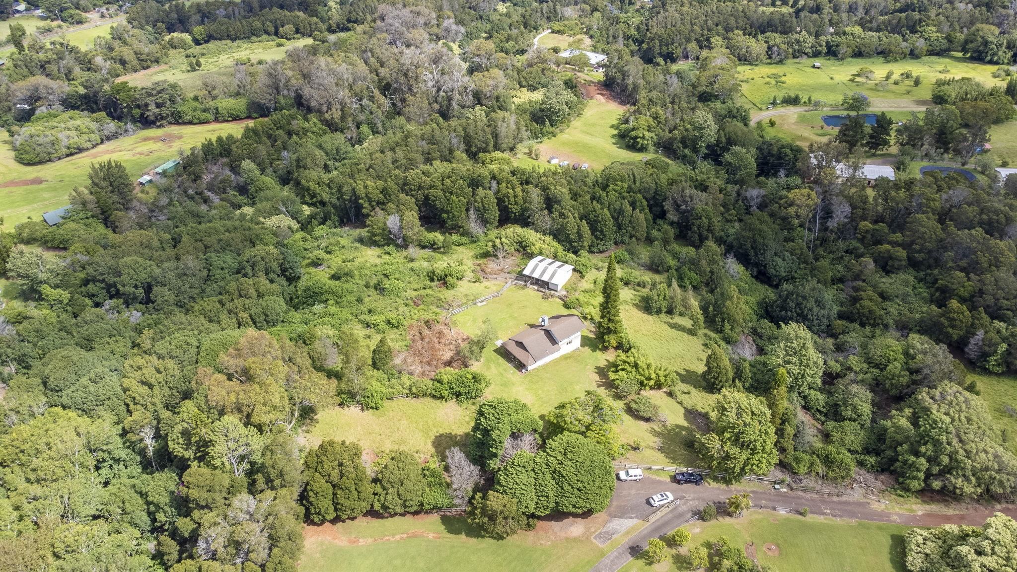 180  Makana Rd Piiholo, Makawao/Olinda/Haliimaile home - photo 39 of 43