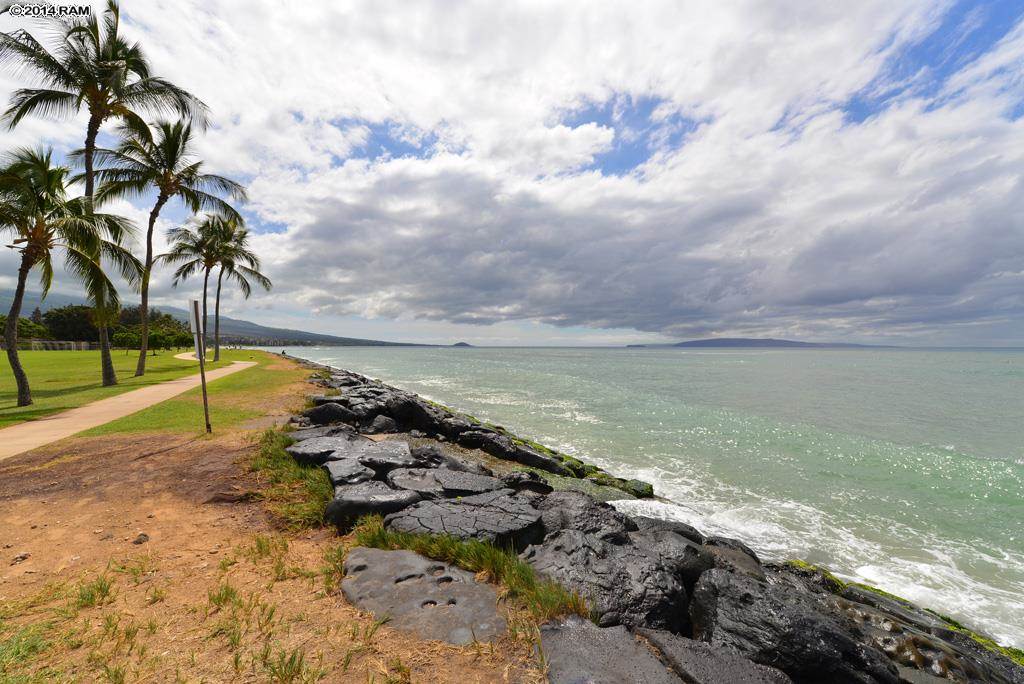 1807  Halama St Halama Street, Kihei home - photo 26 of 29