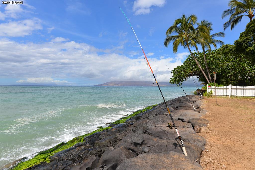 1807  Halama St Halama Street, Kihei home - photo 27 of 29