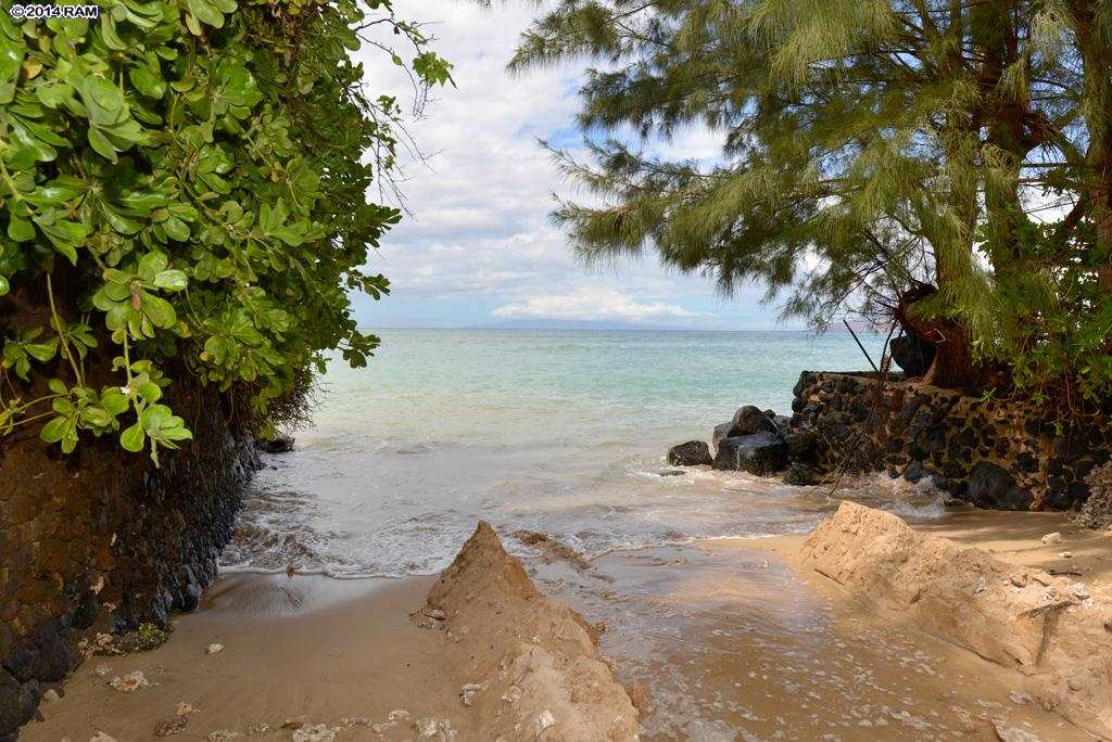 1807  Halama St Halama Street, Kihei home - photo 29 of 29
