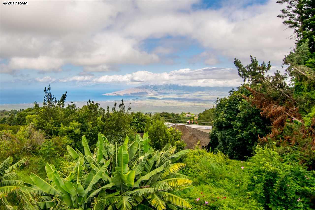 1818 & 1  (homestead Rd) Near Copp Road, Kula/Ulupalakua/Kanaio home - photo 4 of 15