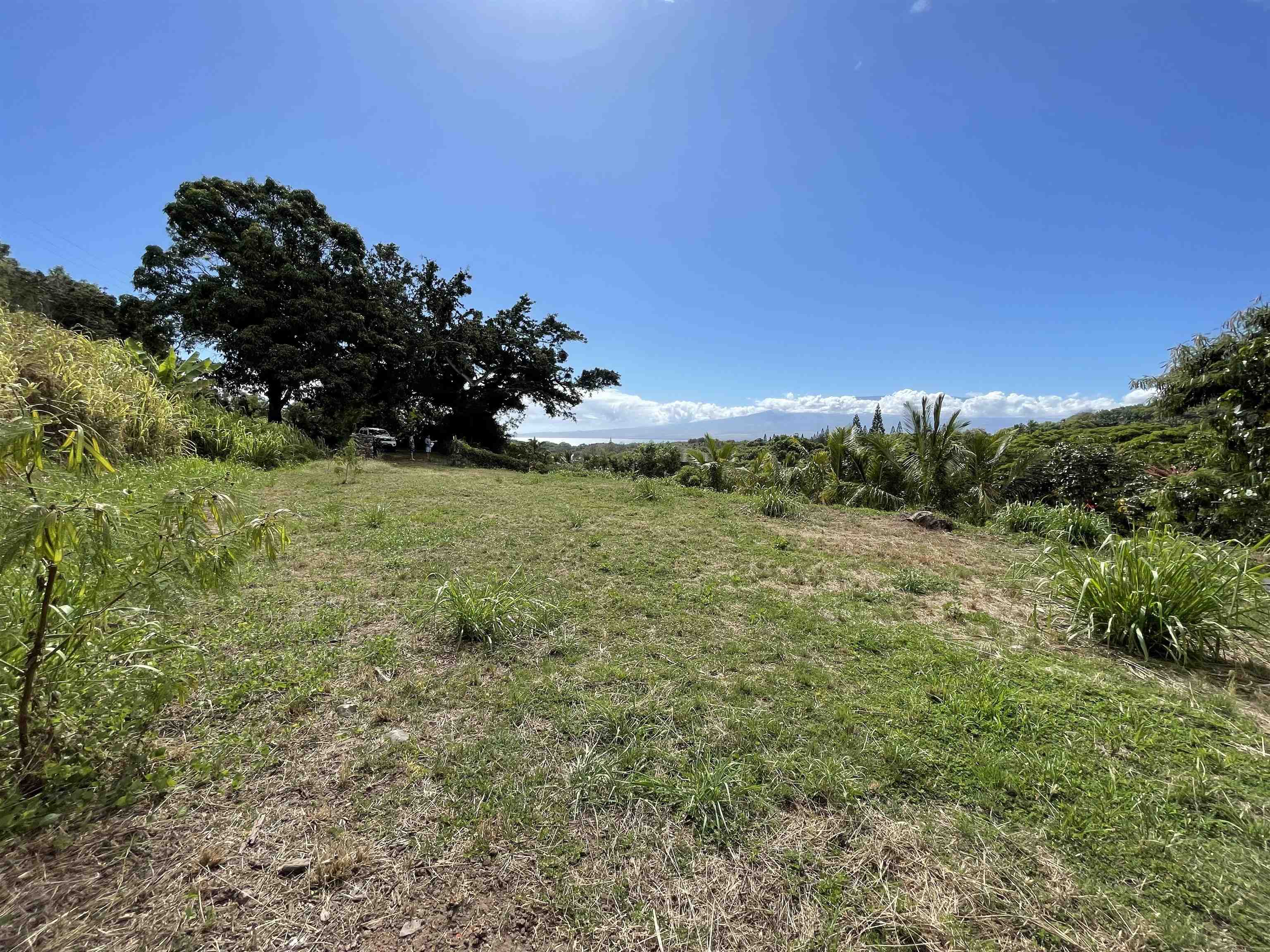 182 River Rd  Wailuku, Hi vacant land for sale - photo 3 of 11
