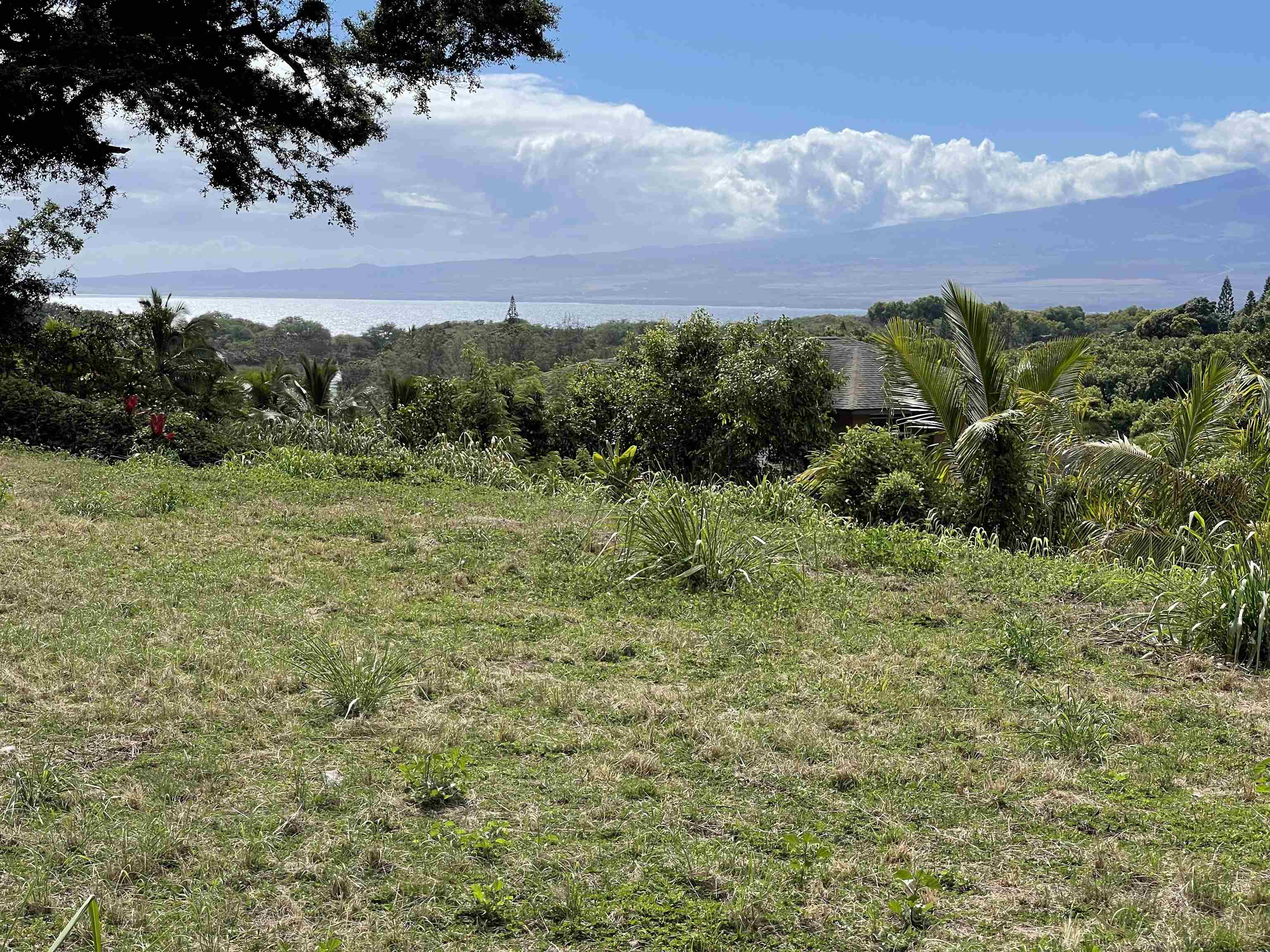 182 River Rd  Wailuku, Hi vacant land for sale - photo 7 of 11