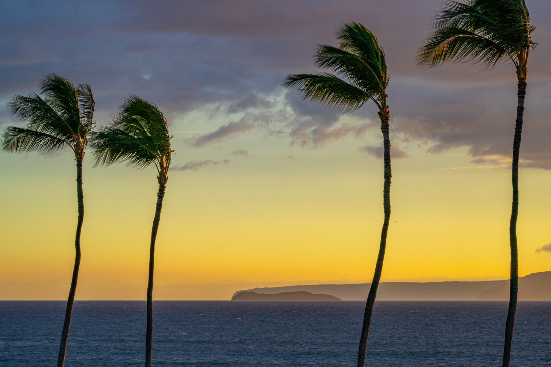 1821  Halama St , Kihei home - photo 48 of 50