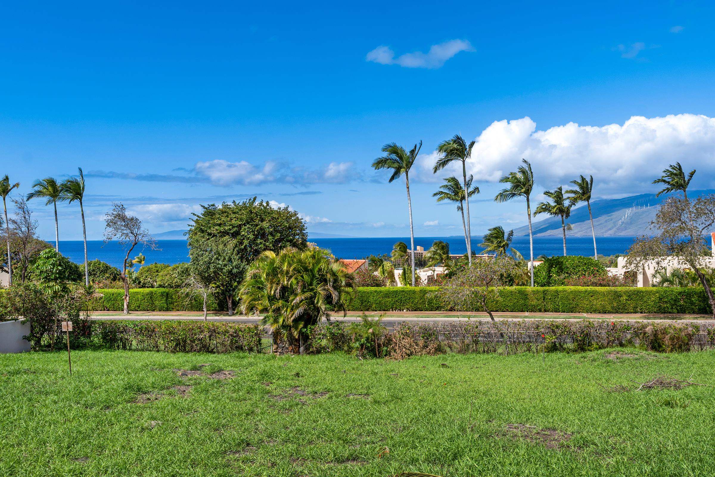 183 Heleuma Pl  Kihei, Hi vacant land for sale - photo 15 of 26