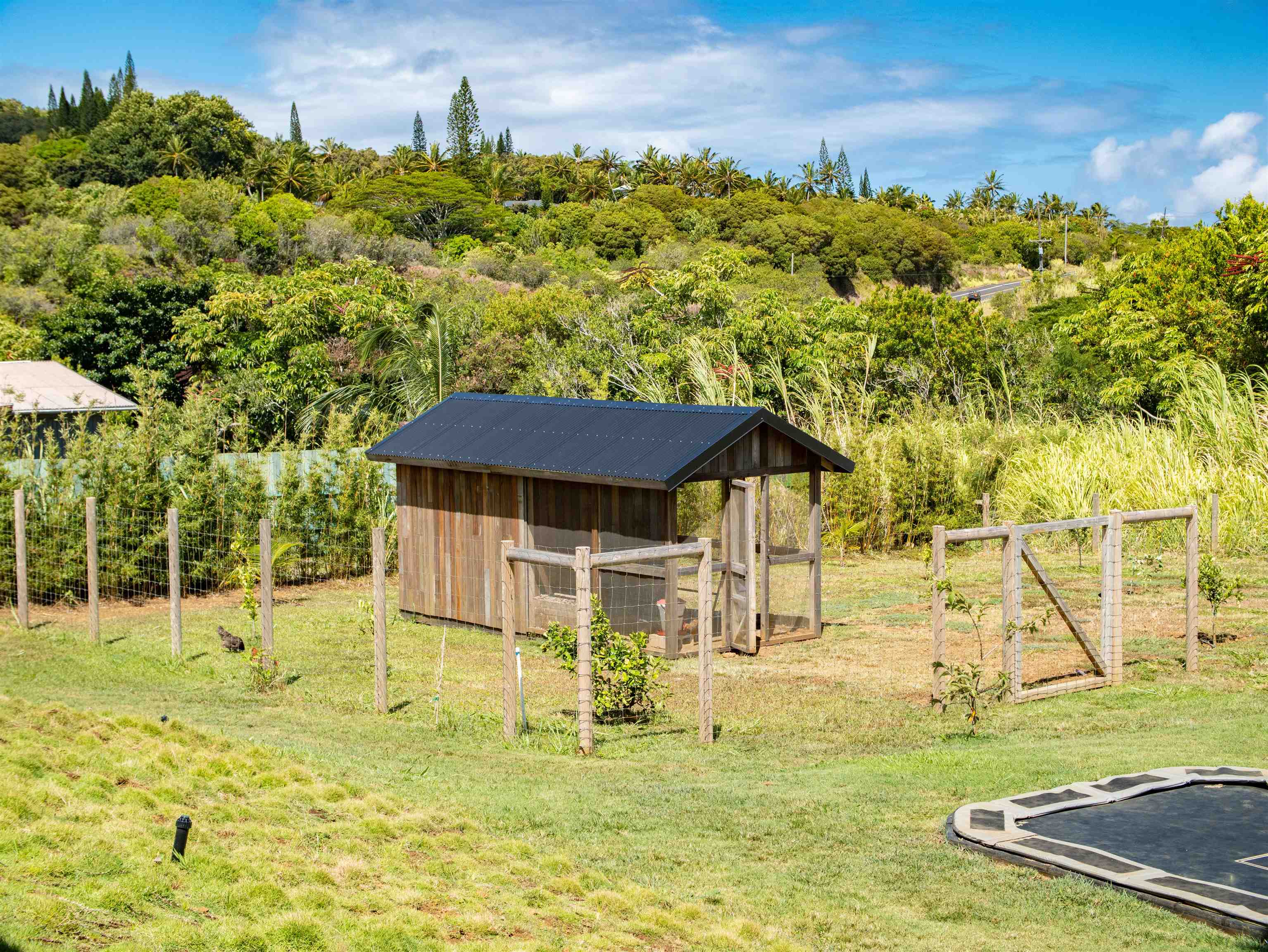 1833  Hookili Rd , Haiku home - photo 34 of 50