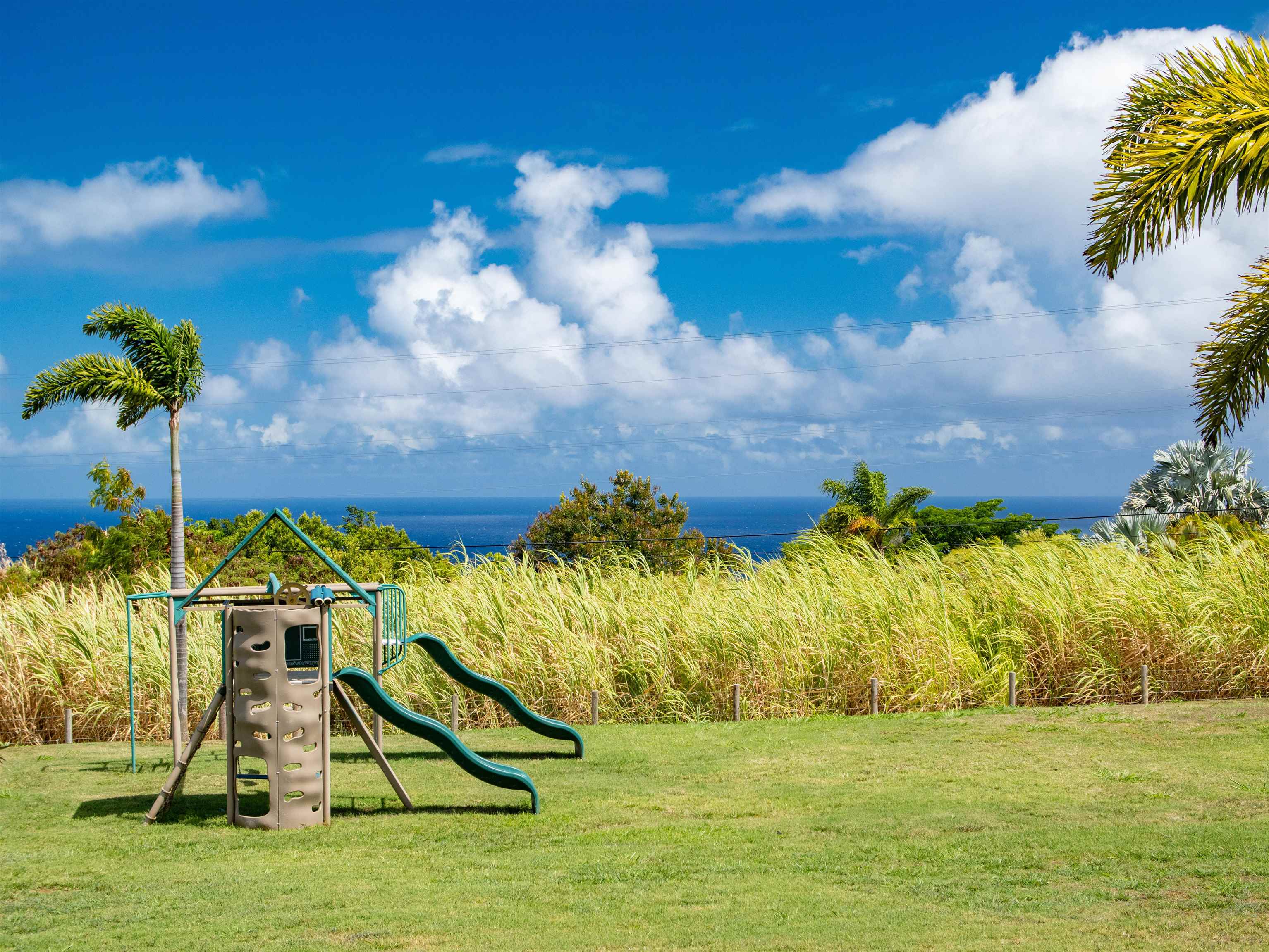 1833  Hookili Rd , Haiku home - photo 45 of 50