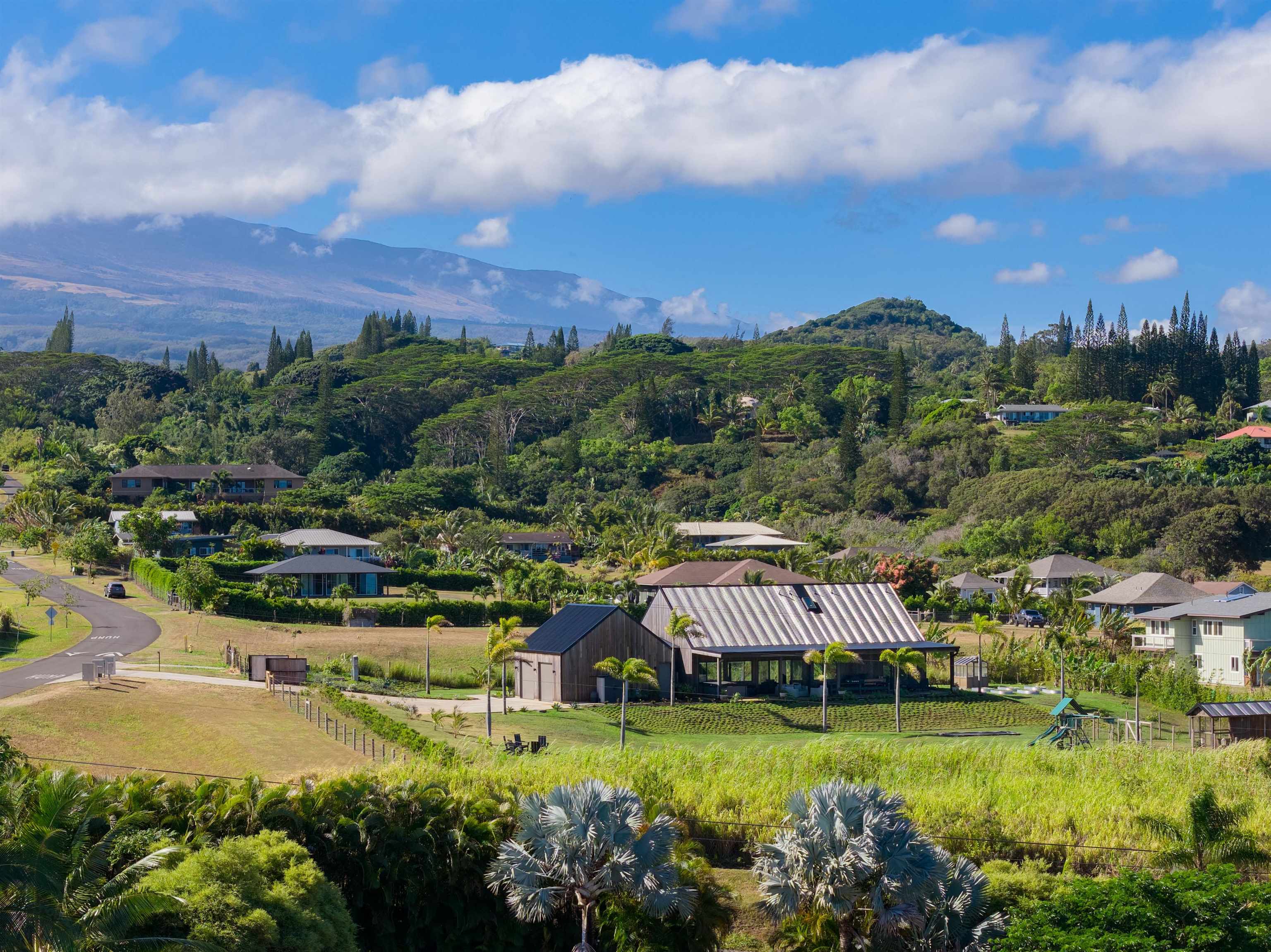 1833  Hookili Rd , Haiku home - photo 46 of 50